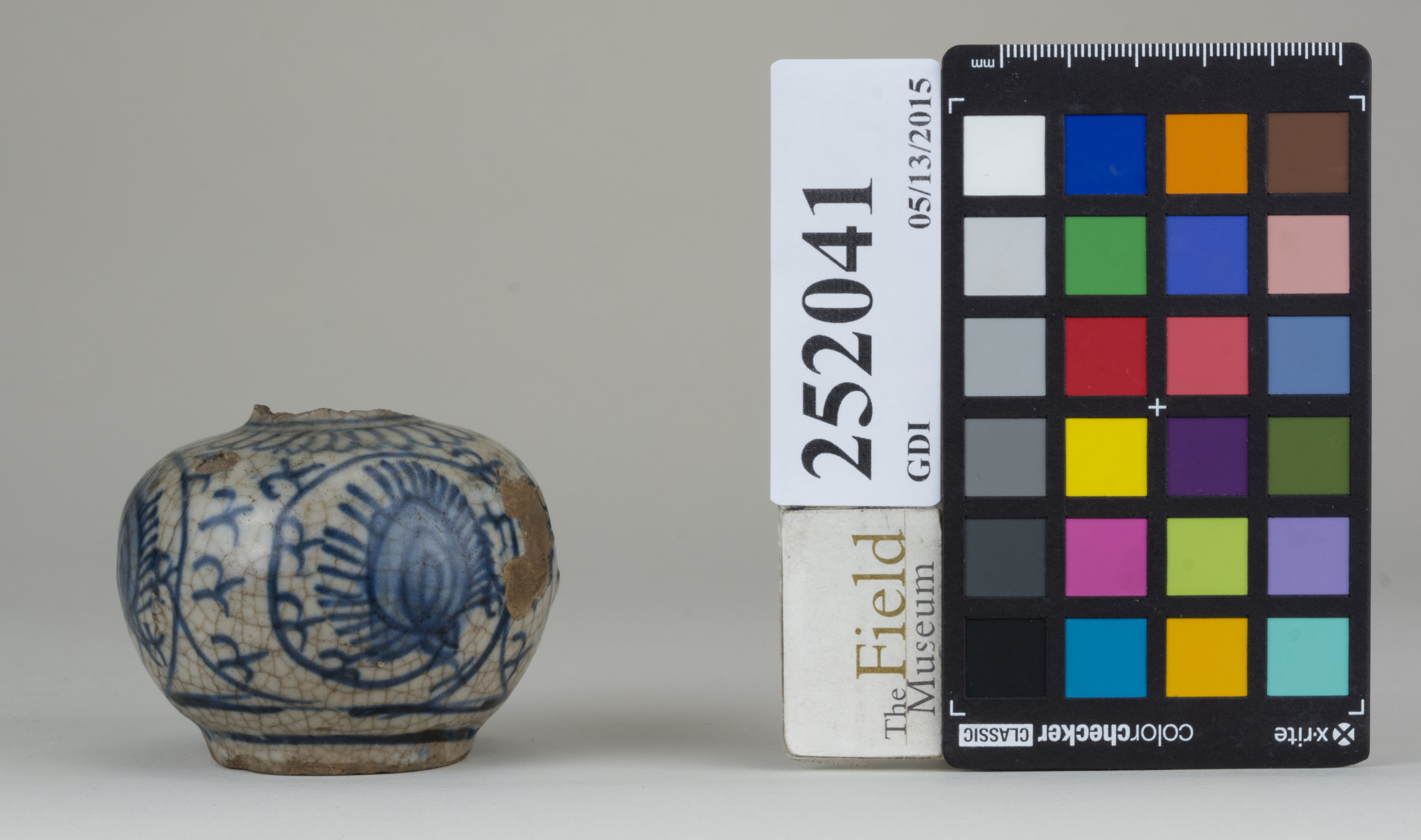 reference image, back (c) Field Museum of Natural History - CC BY-NC 4.0