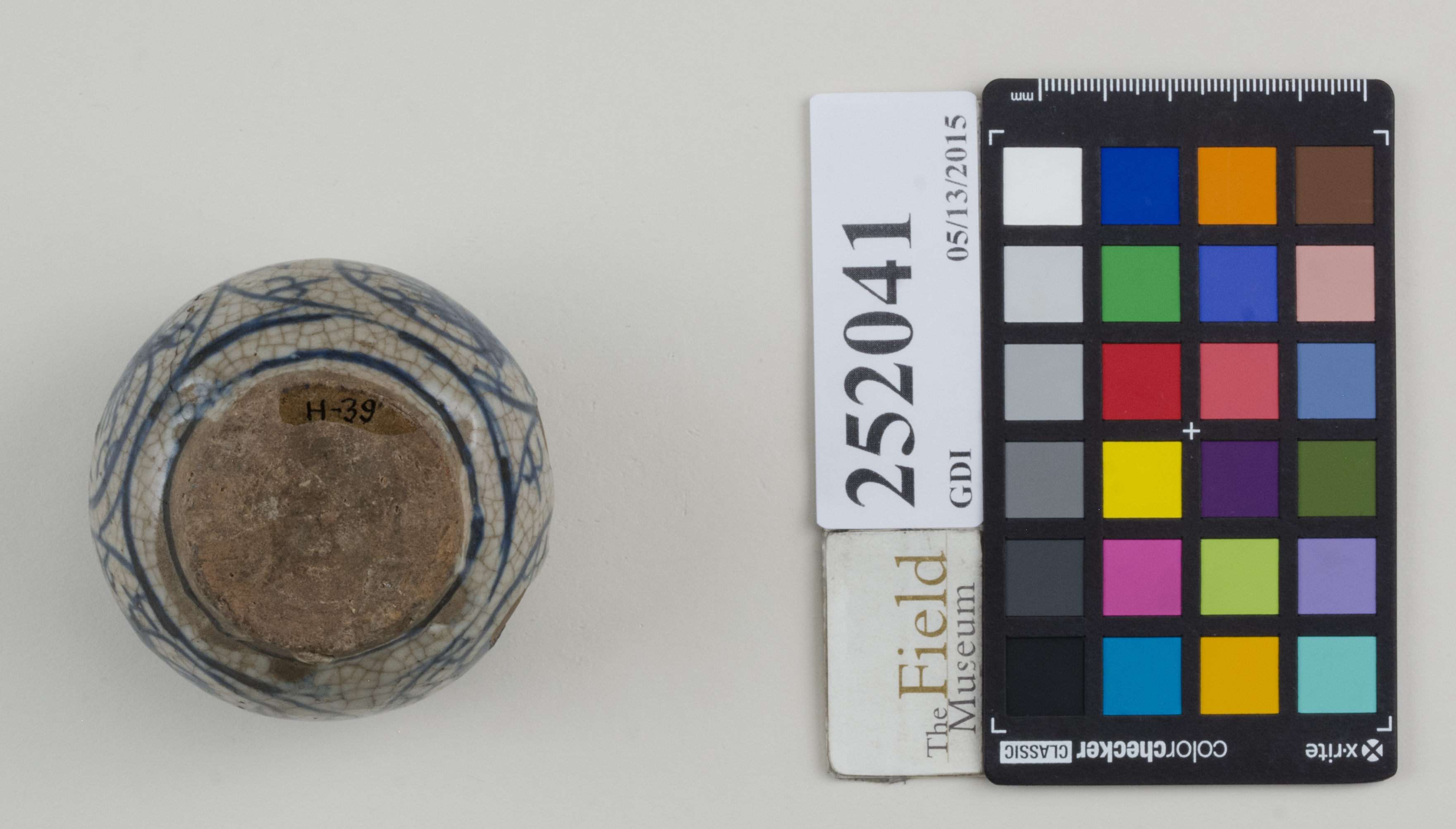 Bottom (c) Field Museum of Natural History - CC BY-NC 4.0