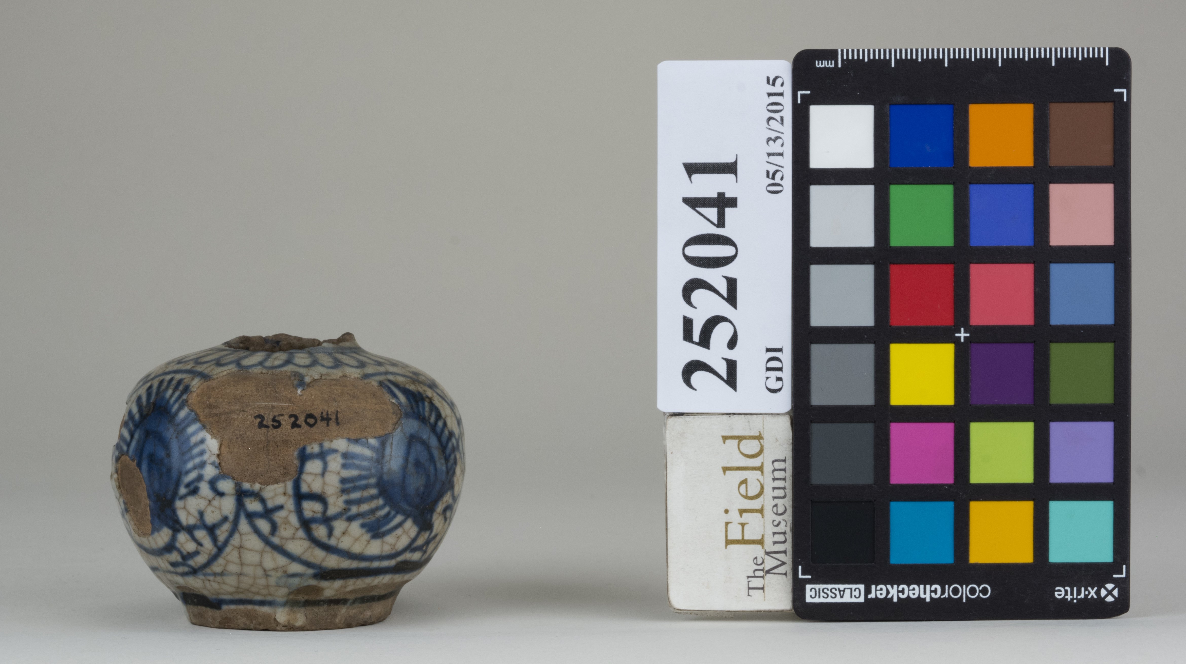 Front (c) Field Museum of Natural History - CC BY-NC 4.0