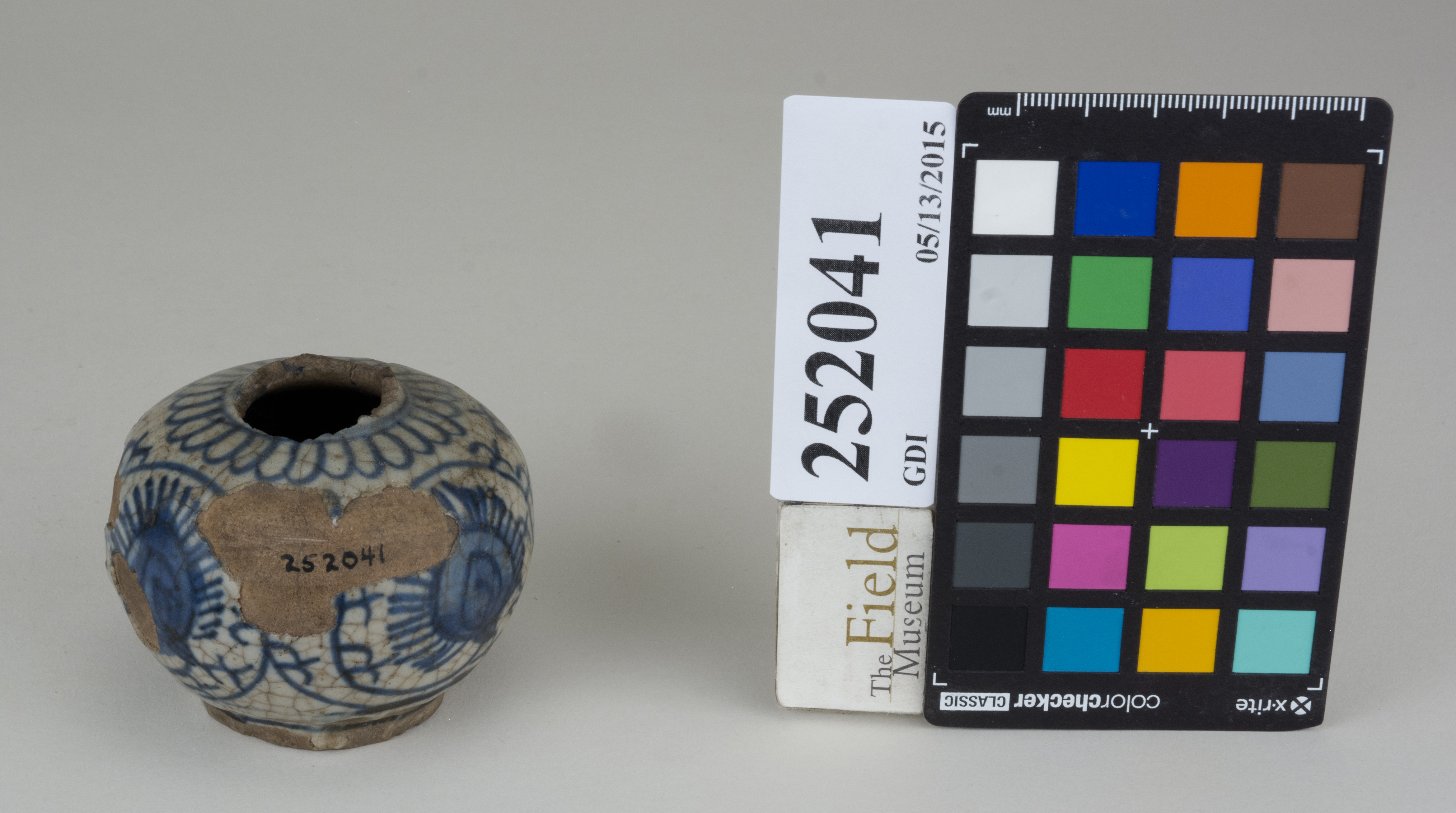 FrontAngle (c) Field Museum of Natural History - CC BY-NC 4.0