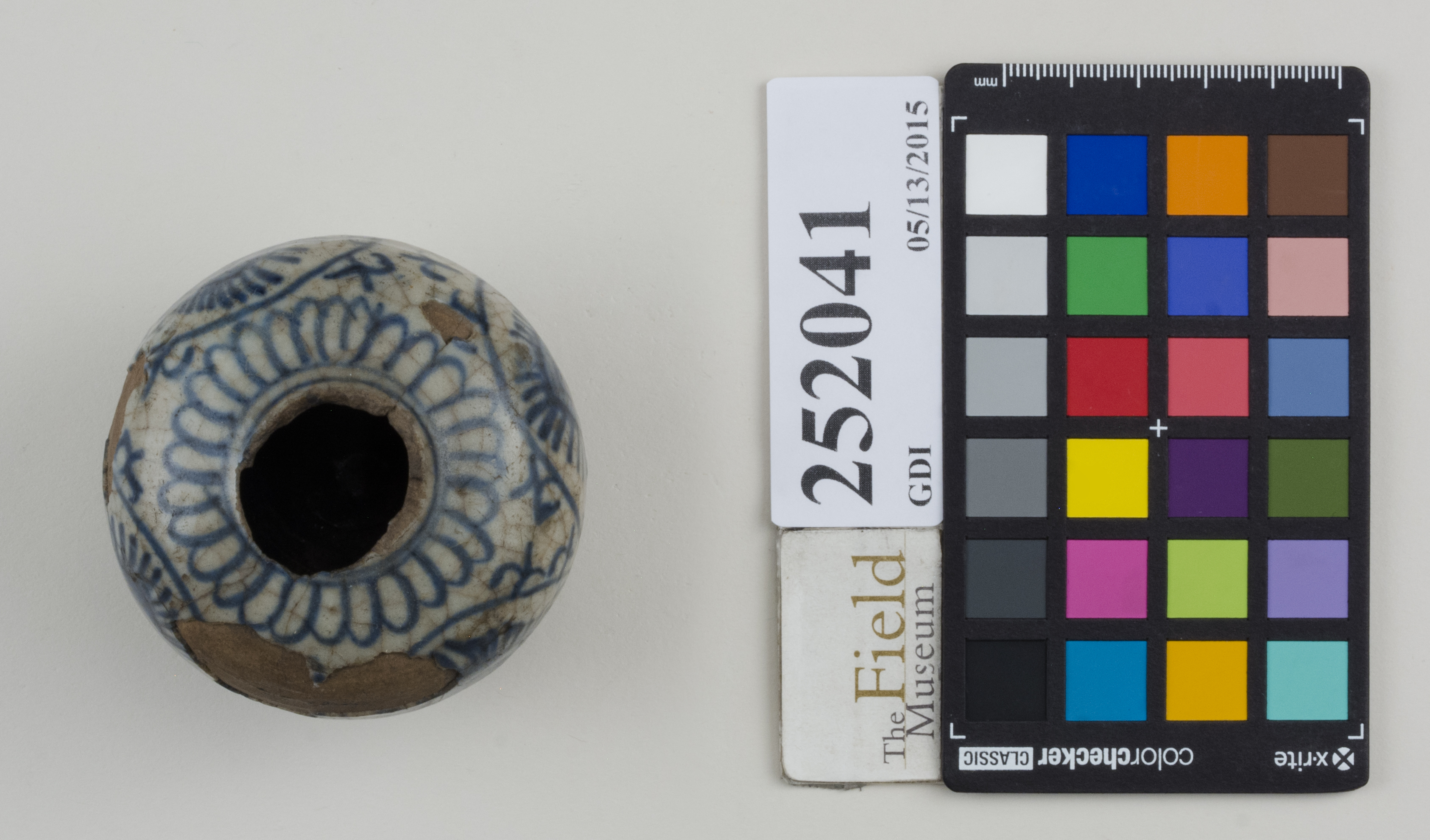 Top (c) Field Museum of Natural History - CC BY-NC 4.0