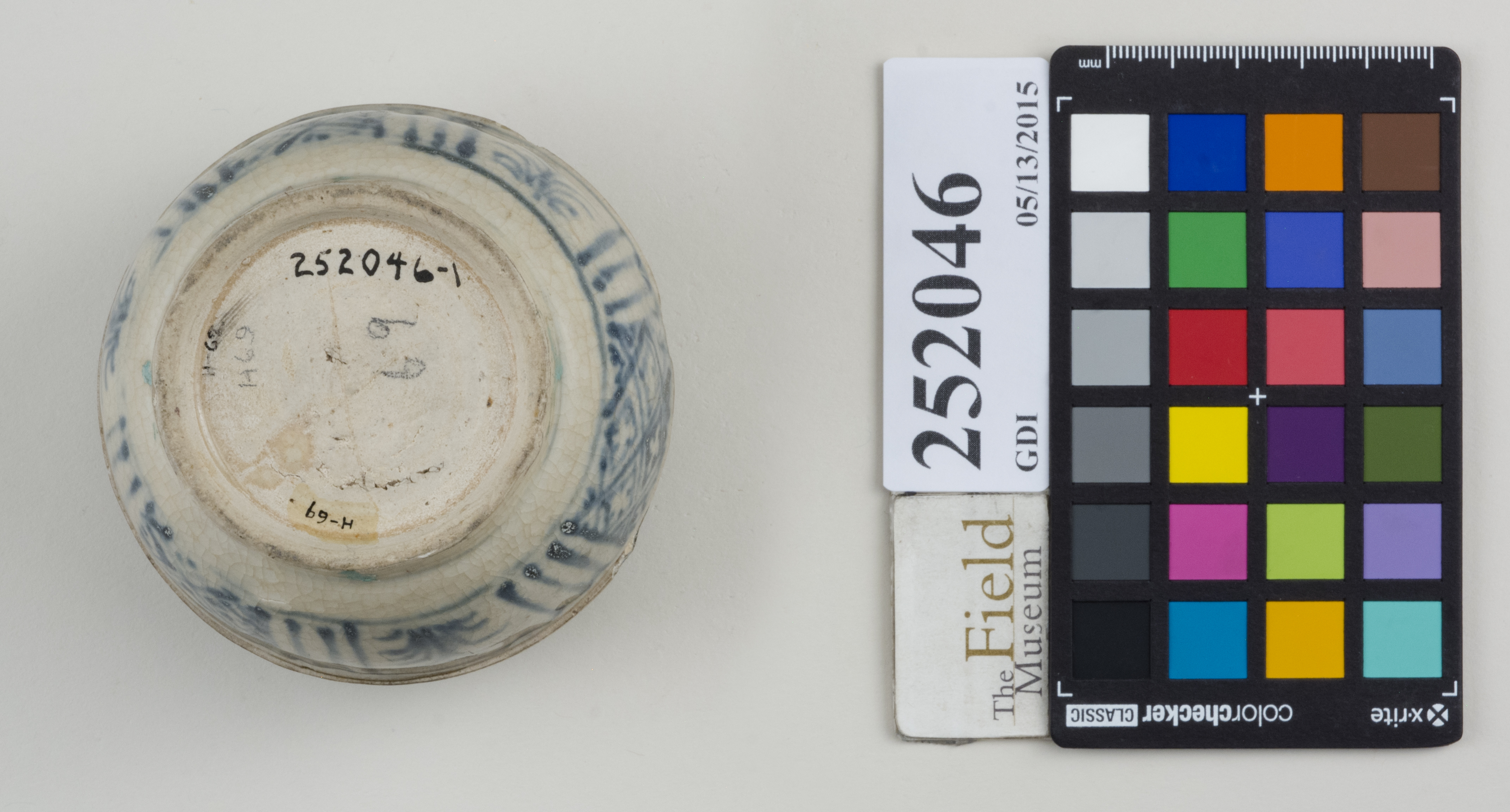 Bottom (c) Field Museum of Natural History - CC BY-NC 4.0