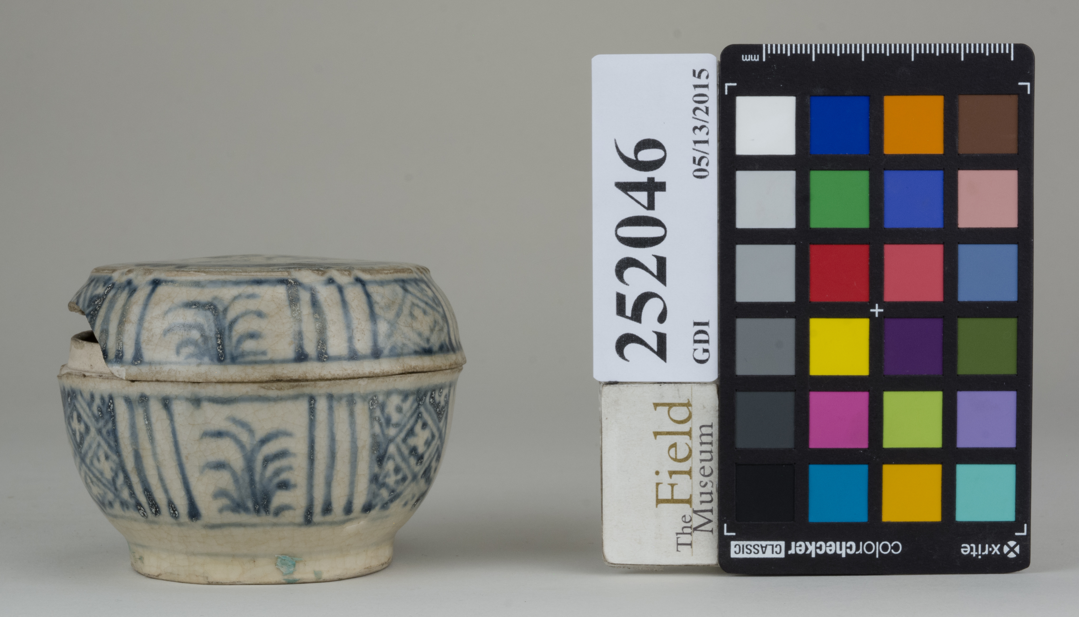 Front (c) Field Museum of Natural History - CC BY-NC 4.0