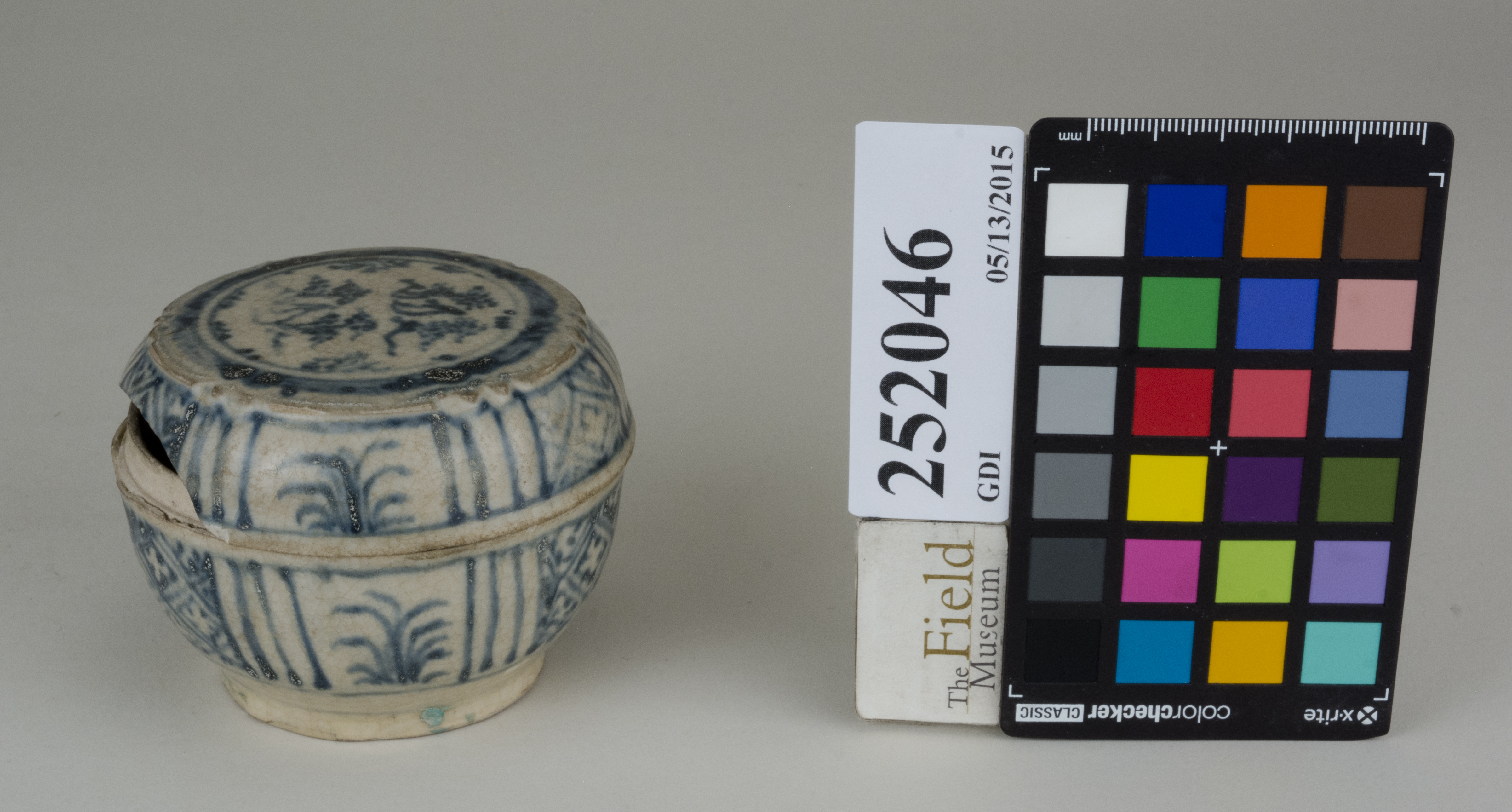 FrontAngle (c) Field Museum of Natural History - CC BY-NC 4.0