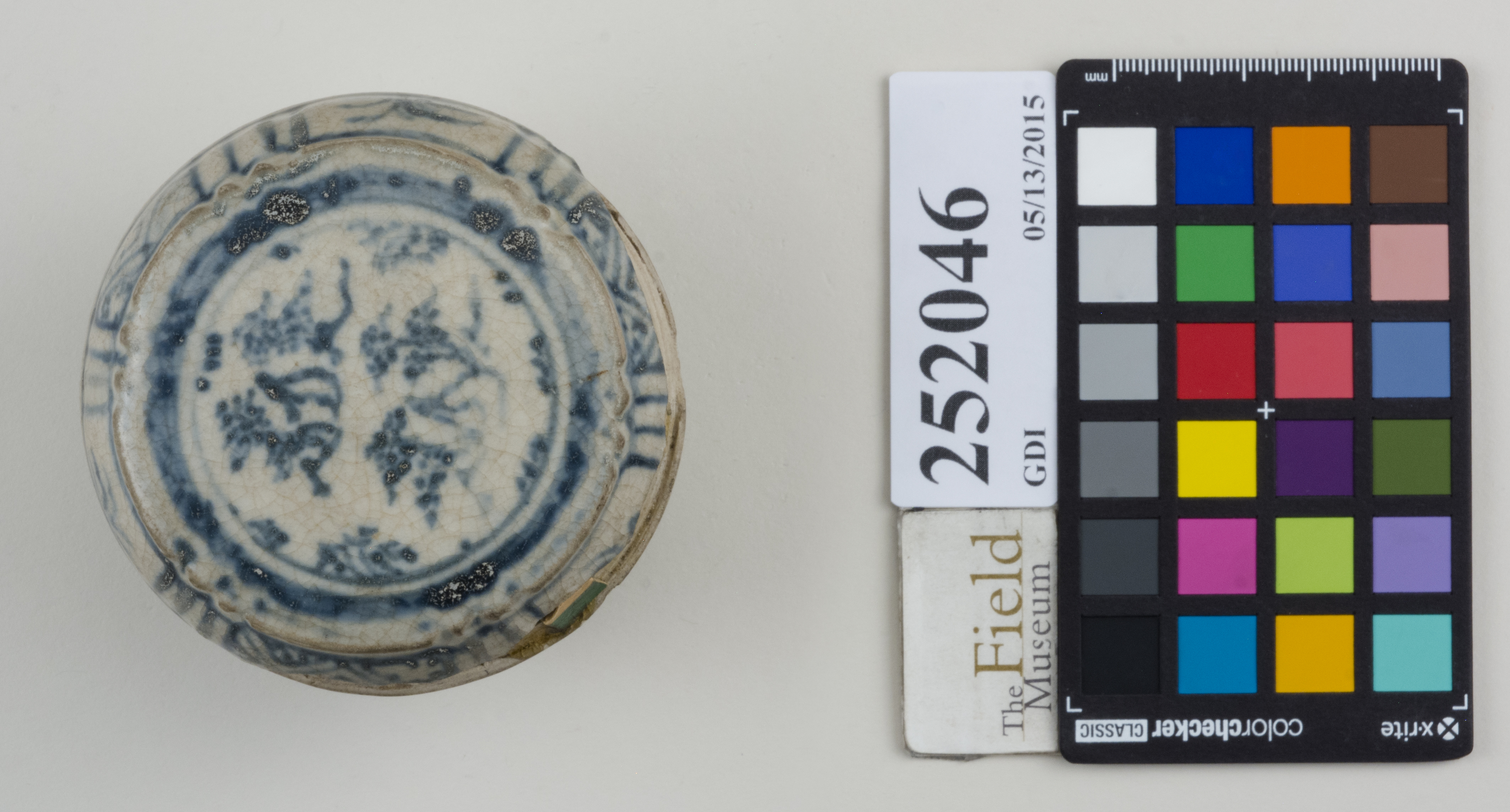 Top (c) Field Museum of Natural History - CC BY-NC 4.0