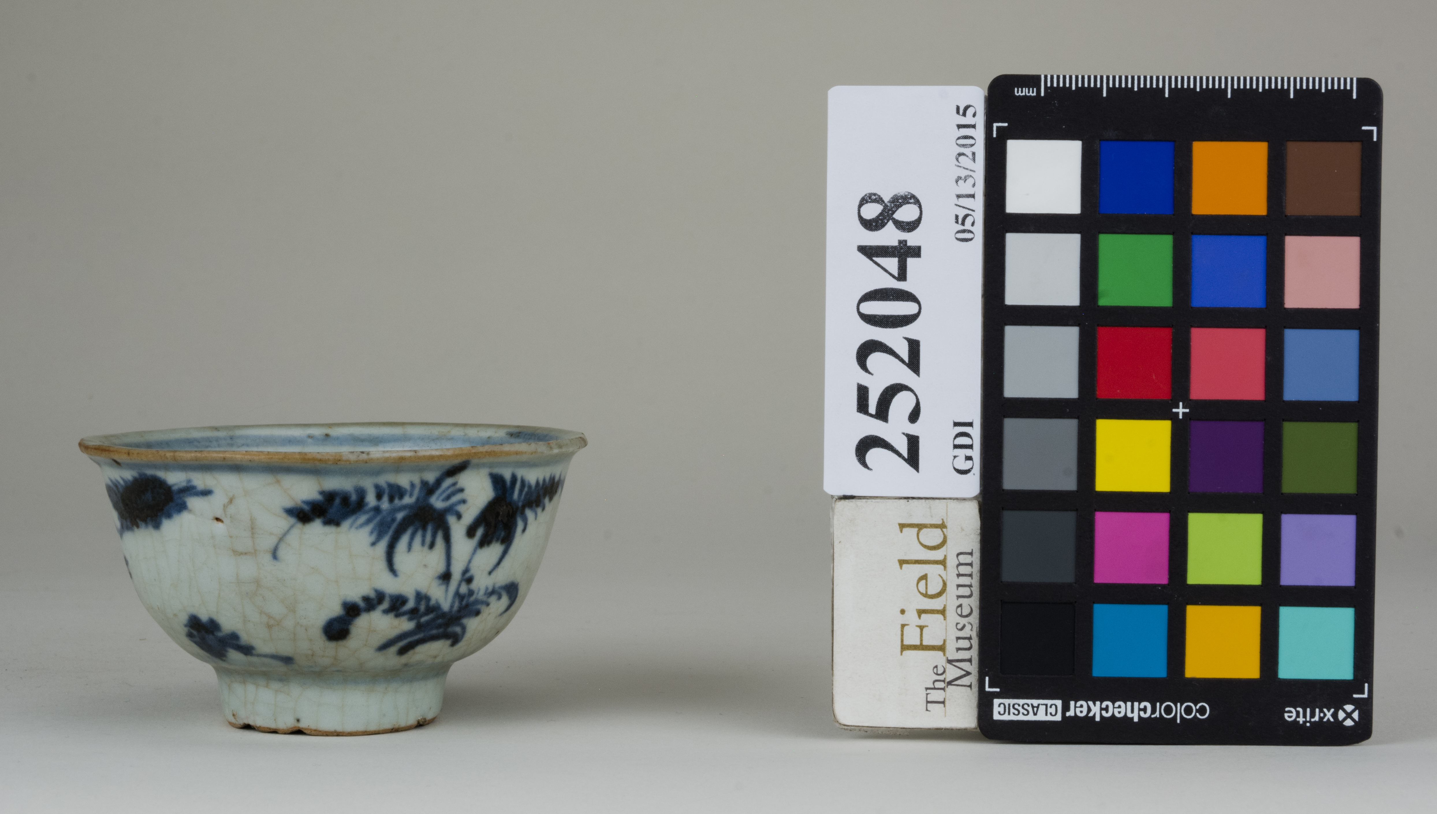 reference image, back (c) Field Museum of Natural History - CC BY-NC 4.0