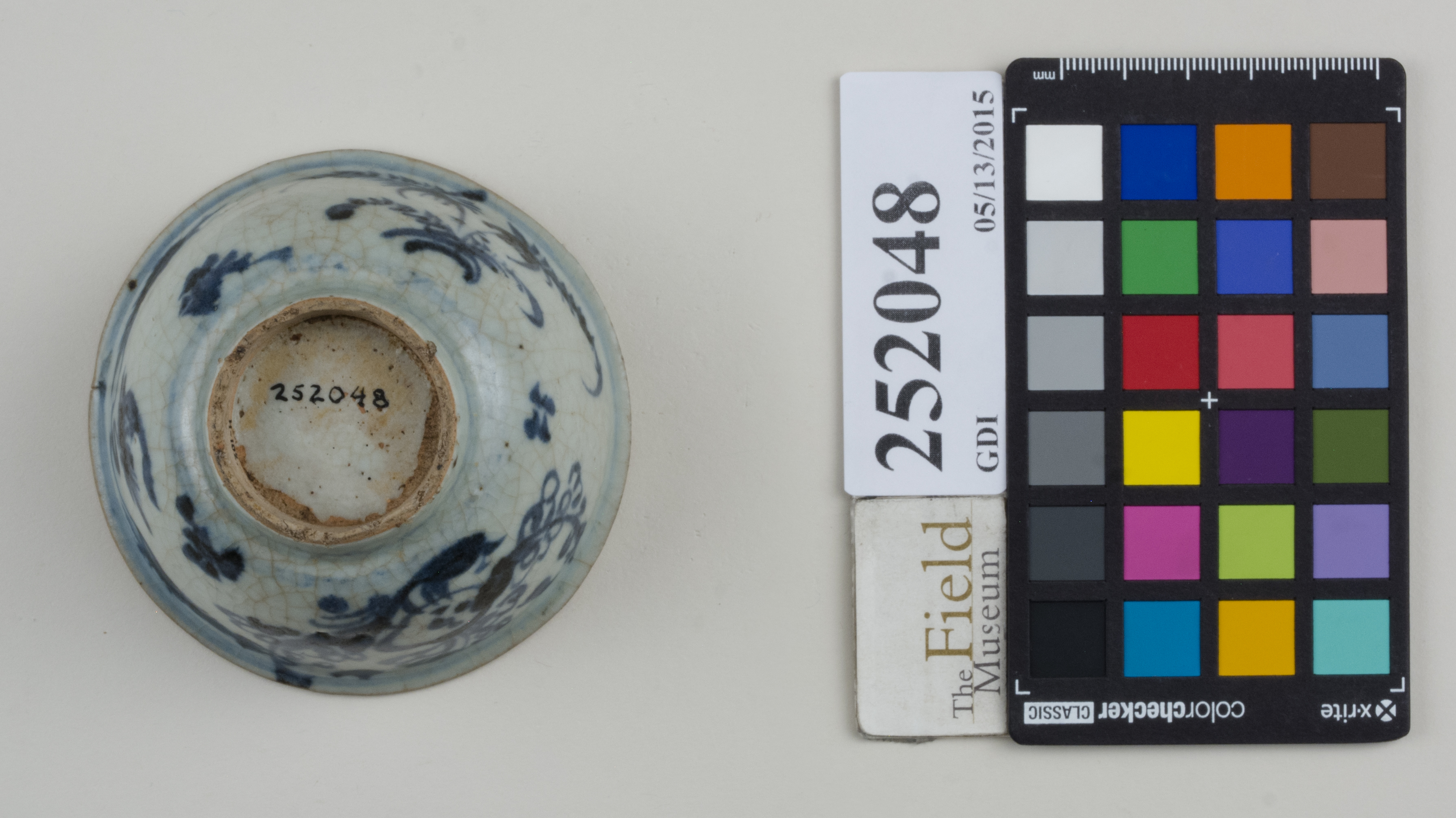 Bottom (c) Field Museum of Natural History - CC BY-NC 4.0