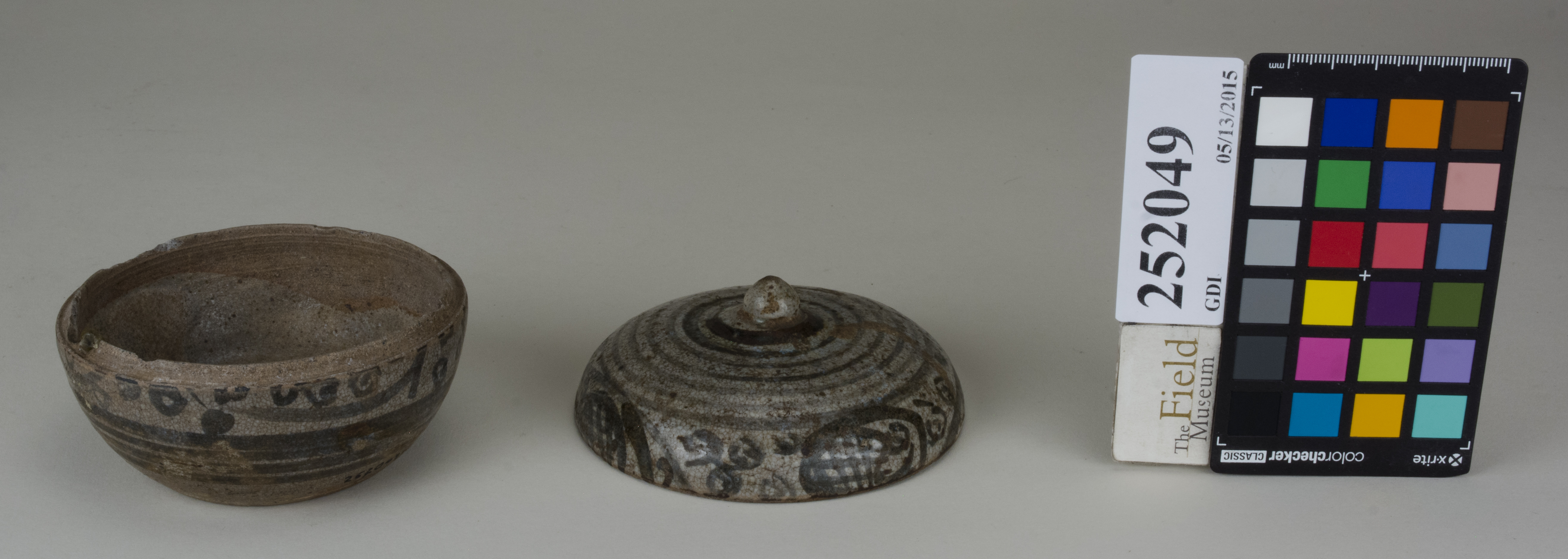 ParentFrontAngle (c) Field Museum of Natural History - CC BY-NC 4.0