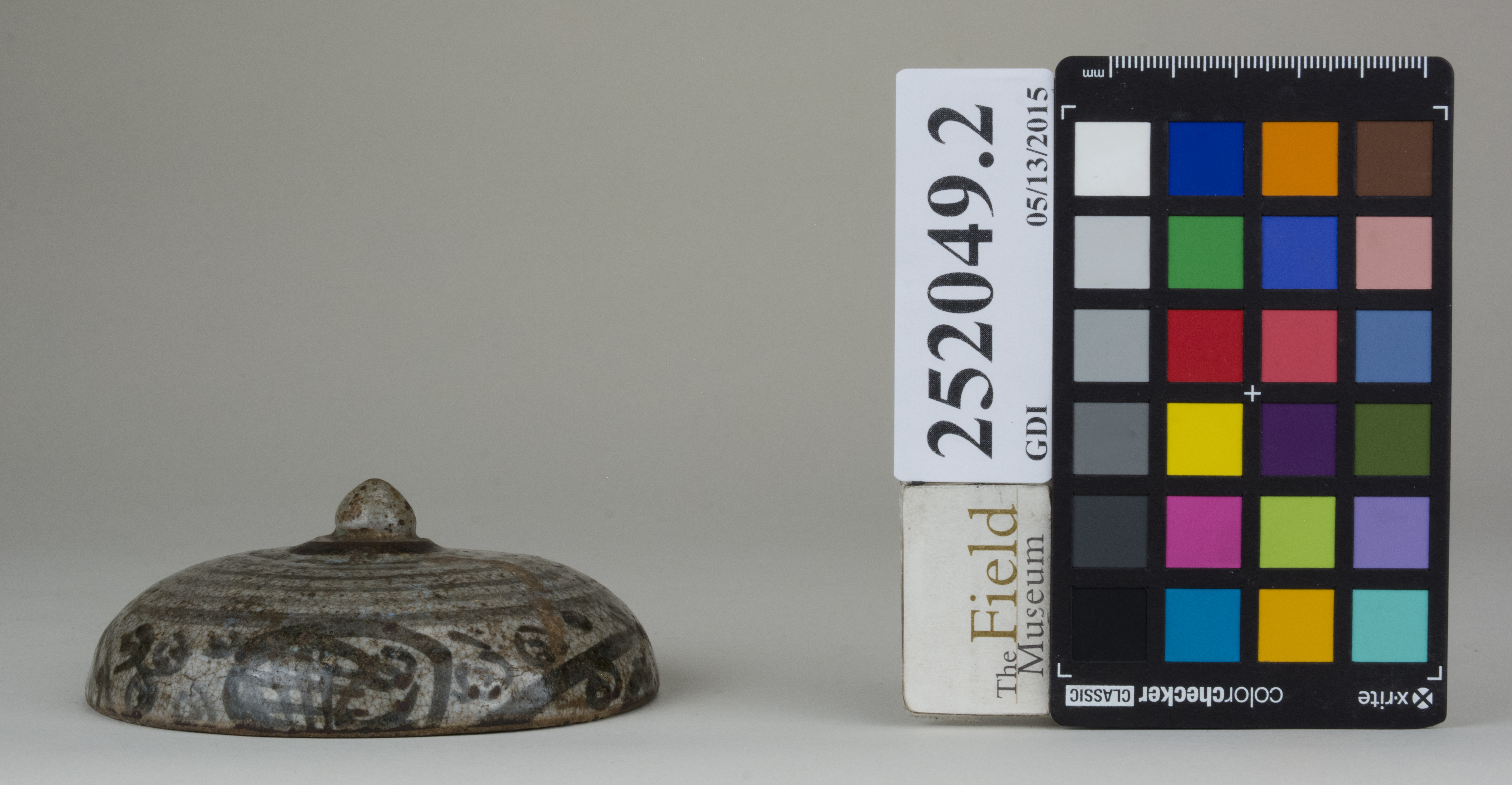 reference image, back (c) Field Museum of Natural History - CC BY-NC 4.0