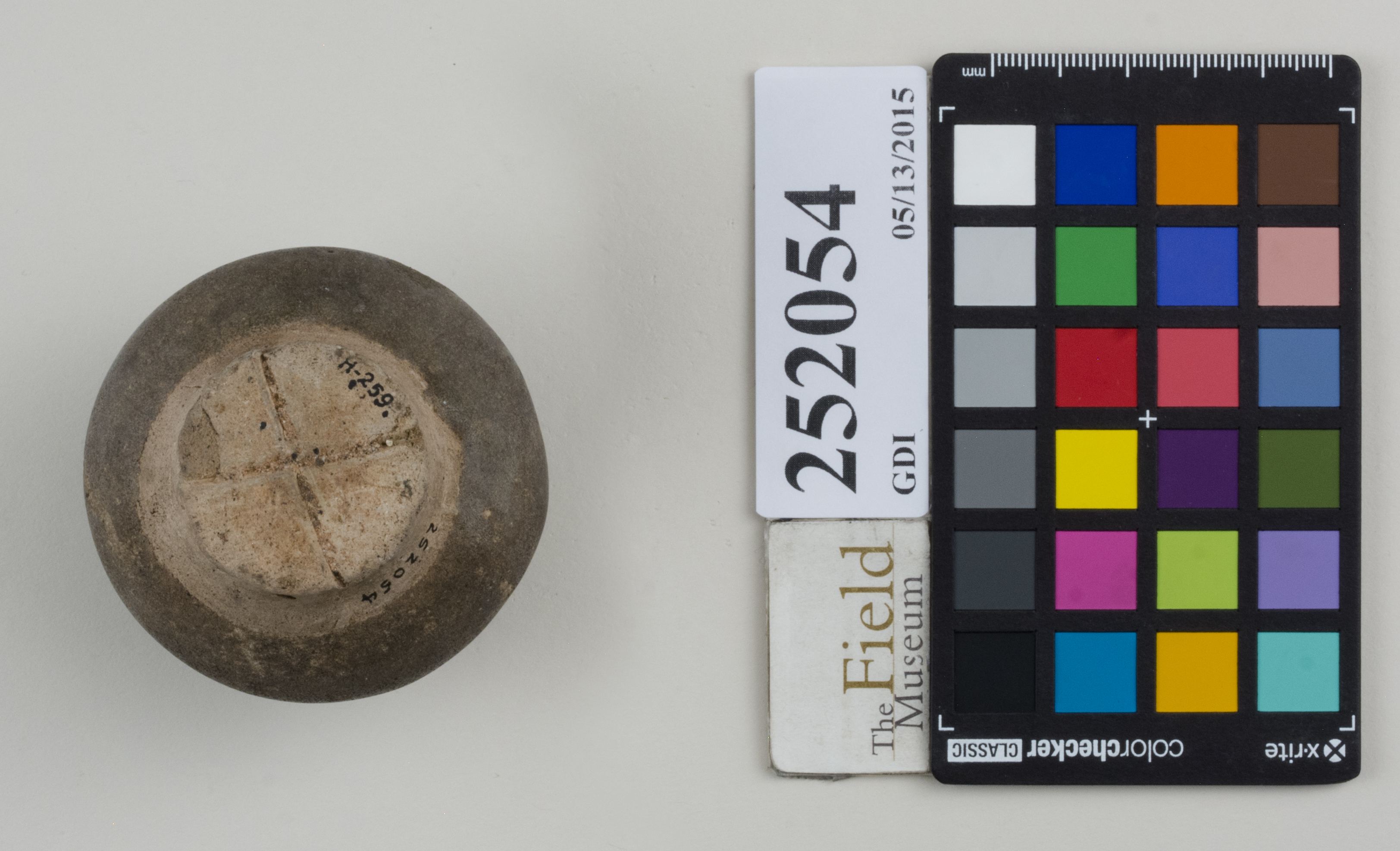 Bottom (c) Field Museum of Natural History - CC BY-NC 4.0