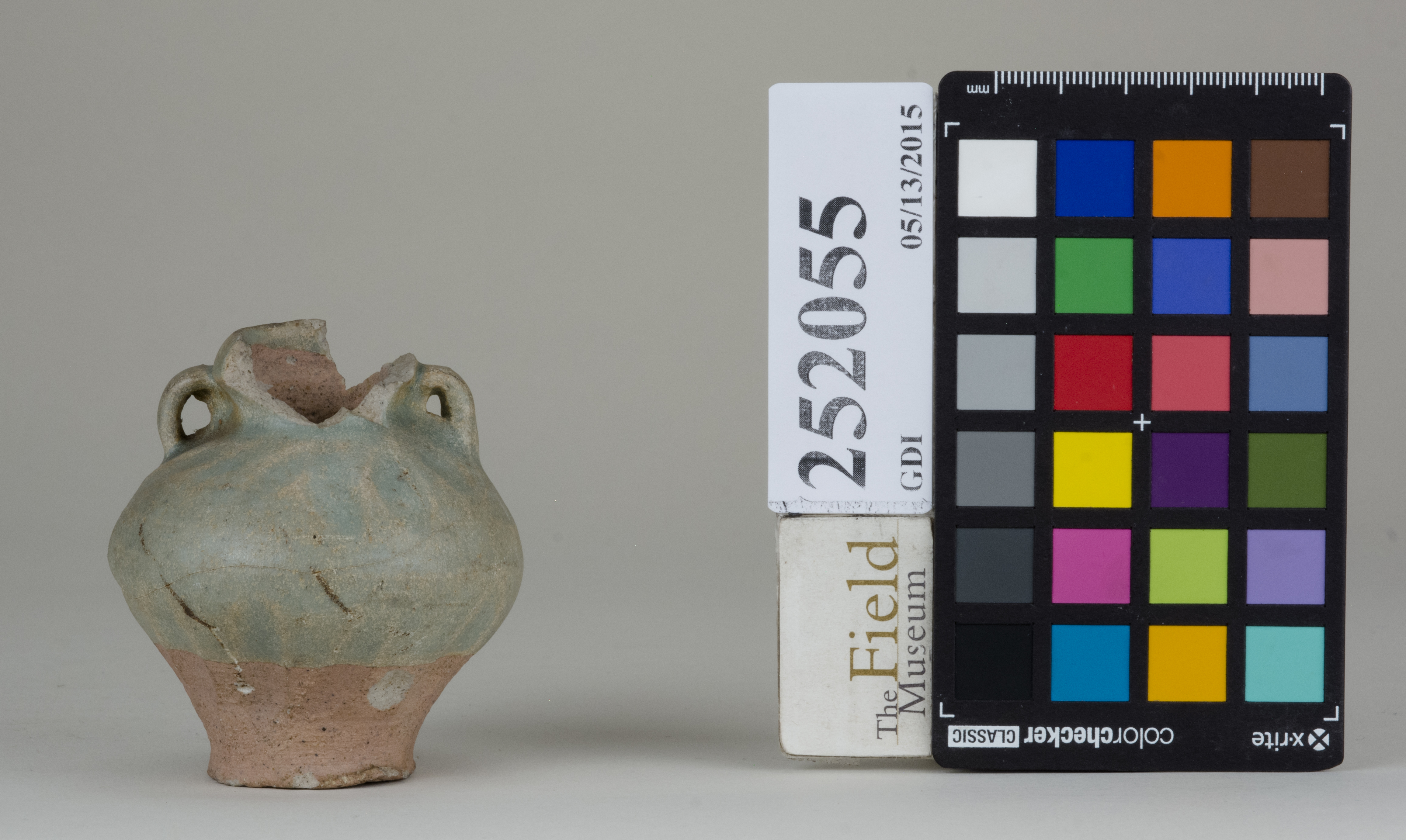 reference image, back (c) Field Museum of Natural History - CC BY-NC 4.0