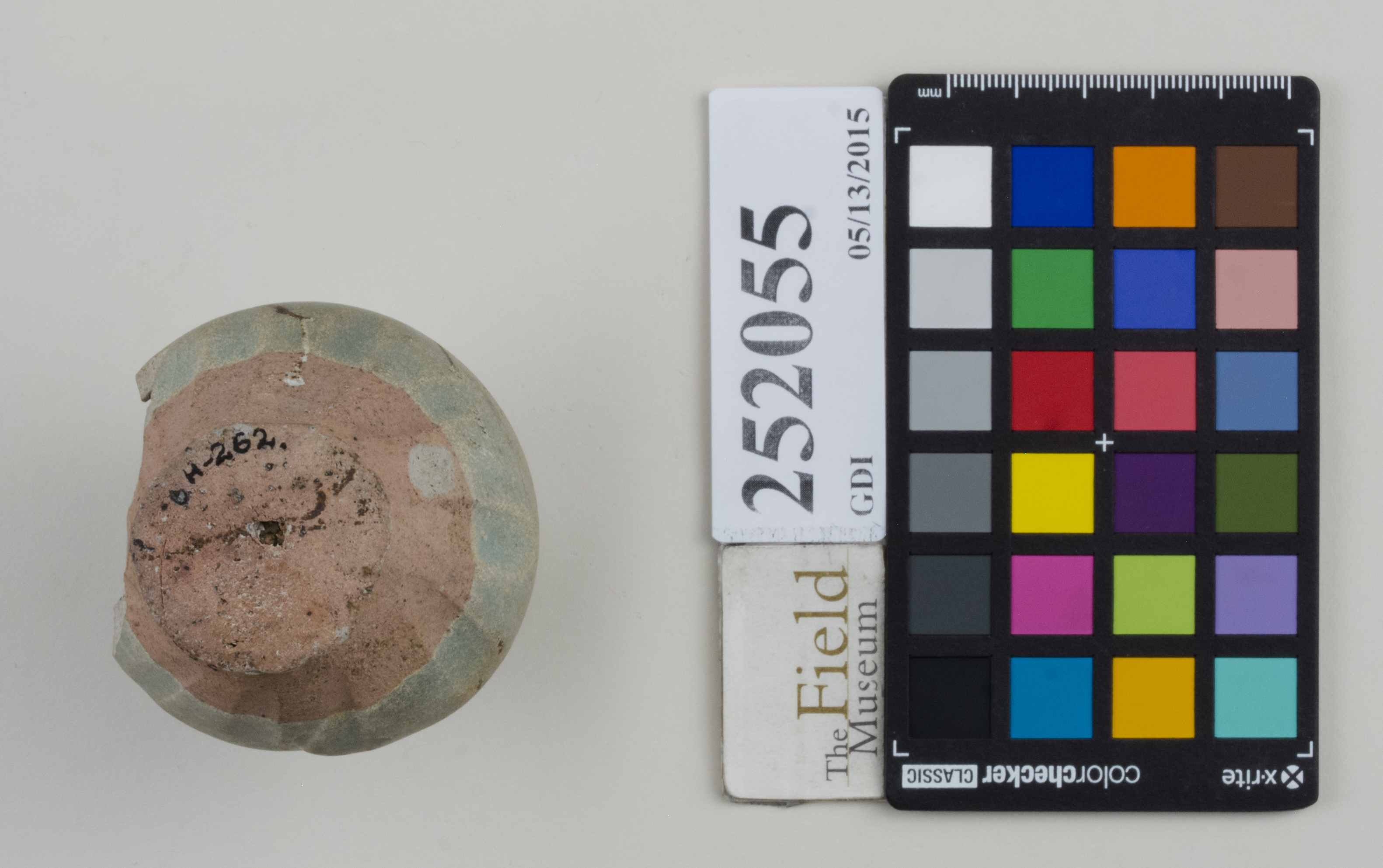 Bottom (c) Field Museum of Natural History - CC BY-NC 4.0