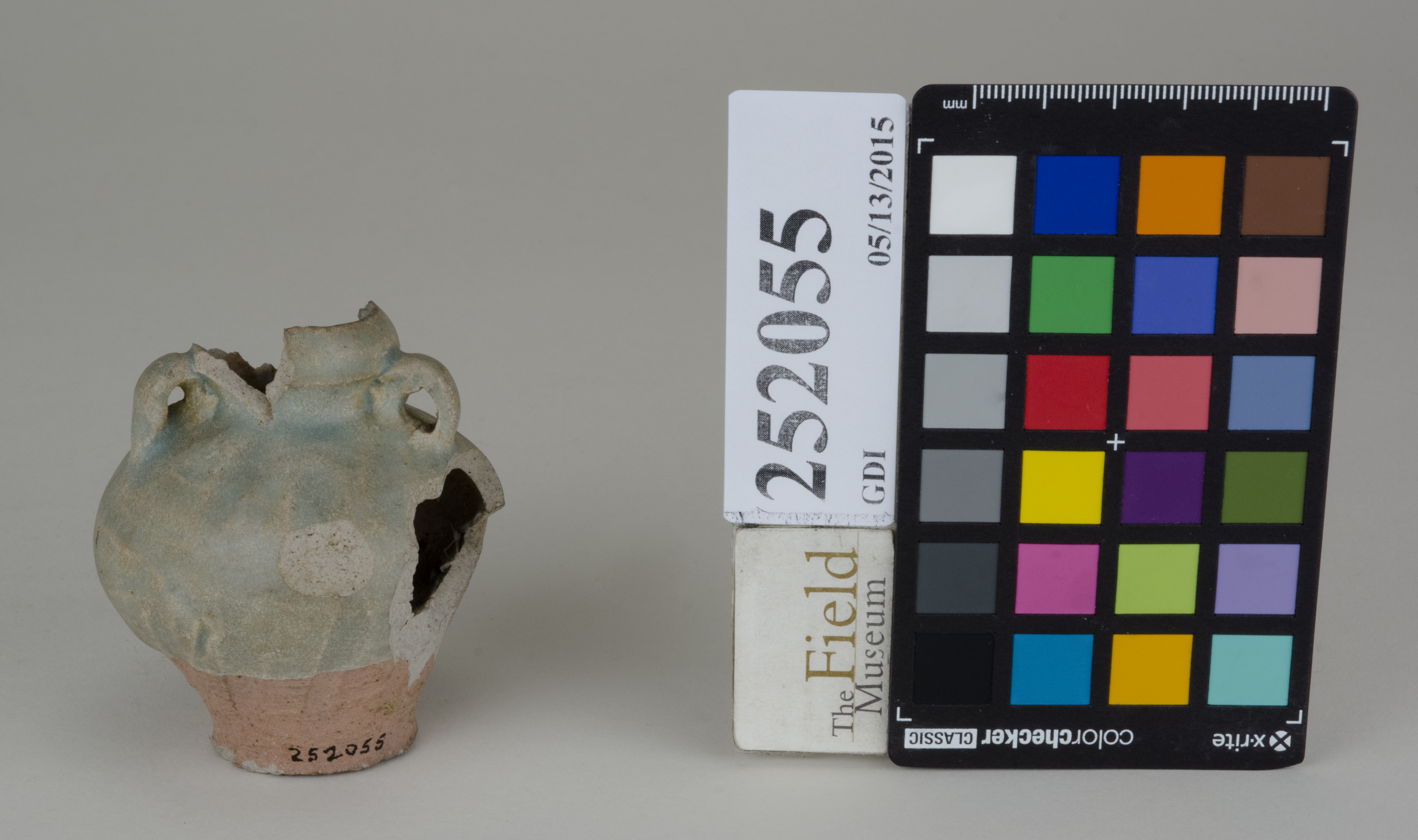 FrontAngle (c) Field Museum of Natural History - CC BY-NC 4.0