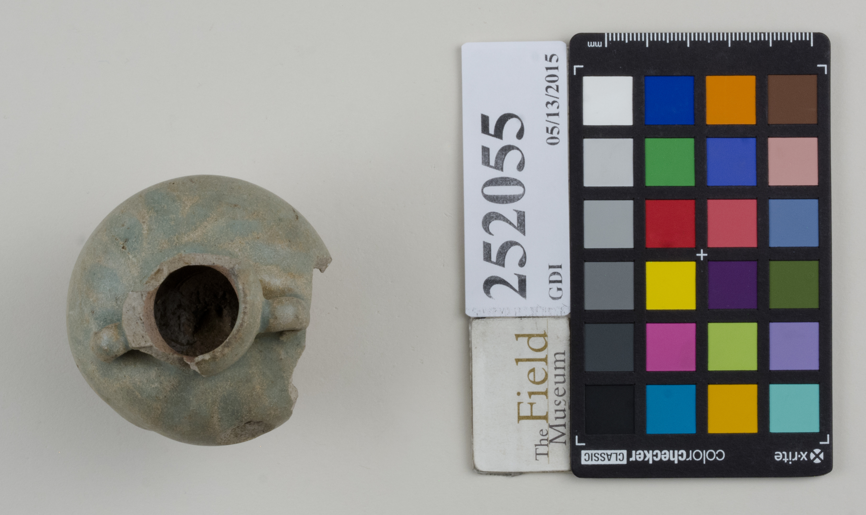 Top (c) Field Museum of Natural History - CC BY-NC 4.0