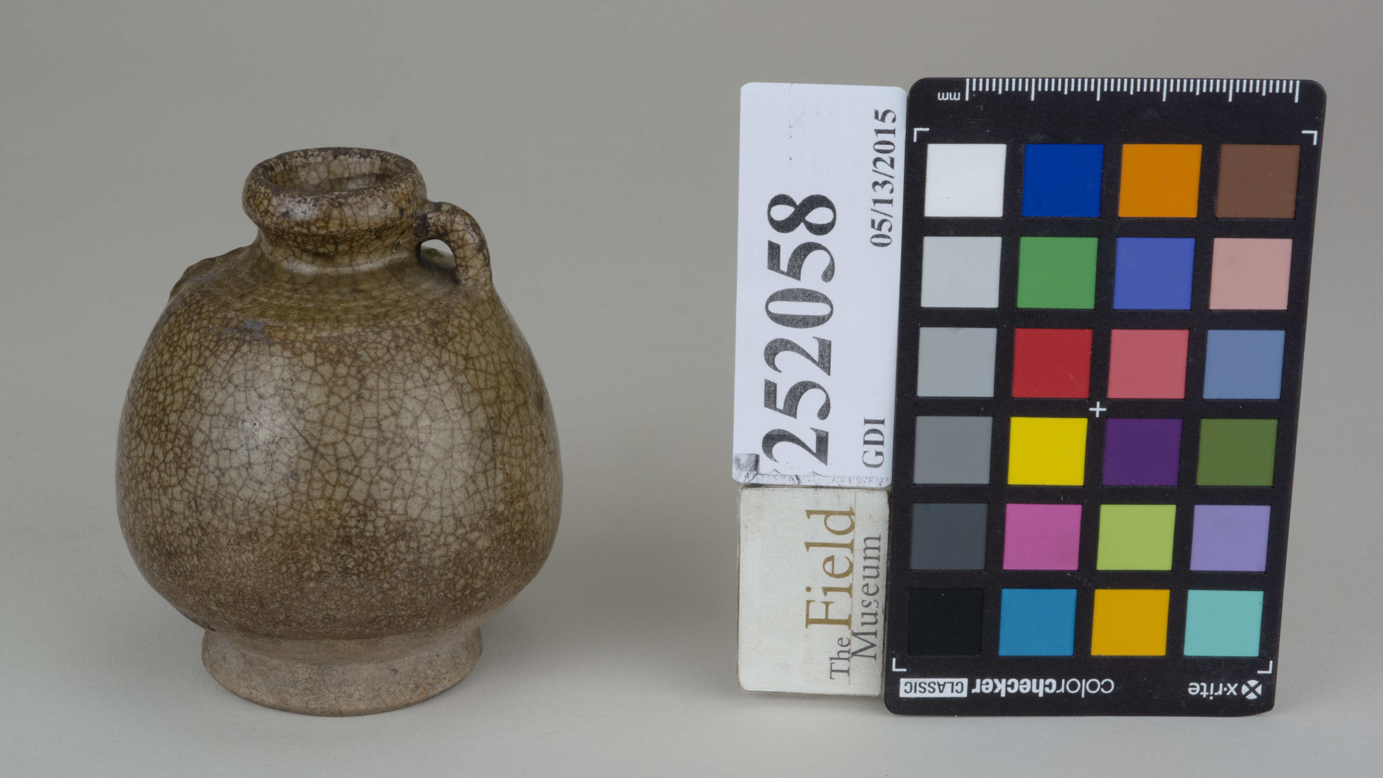 FrontAngle (c) Field Museum of Natural History - CC BY-NC 4.0