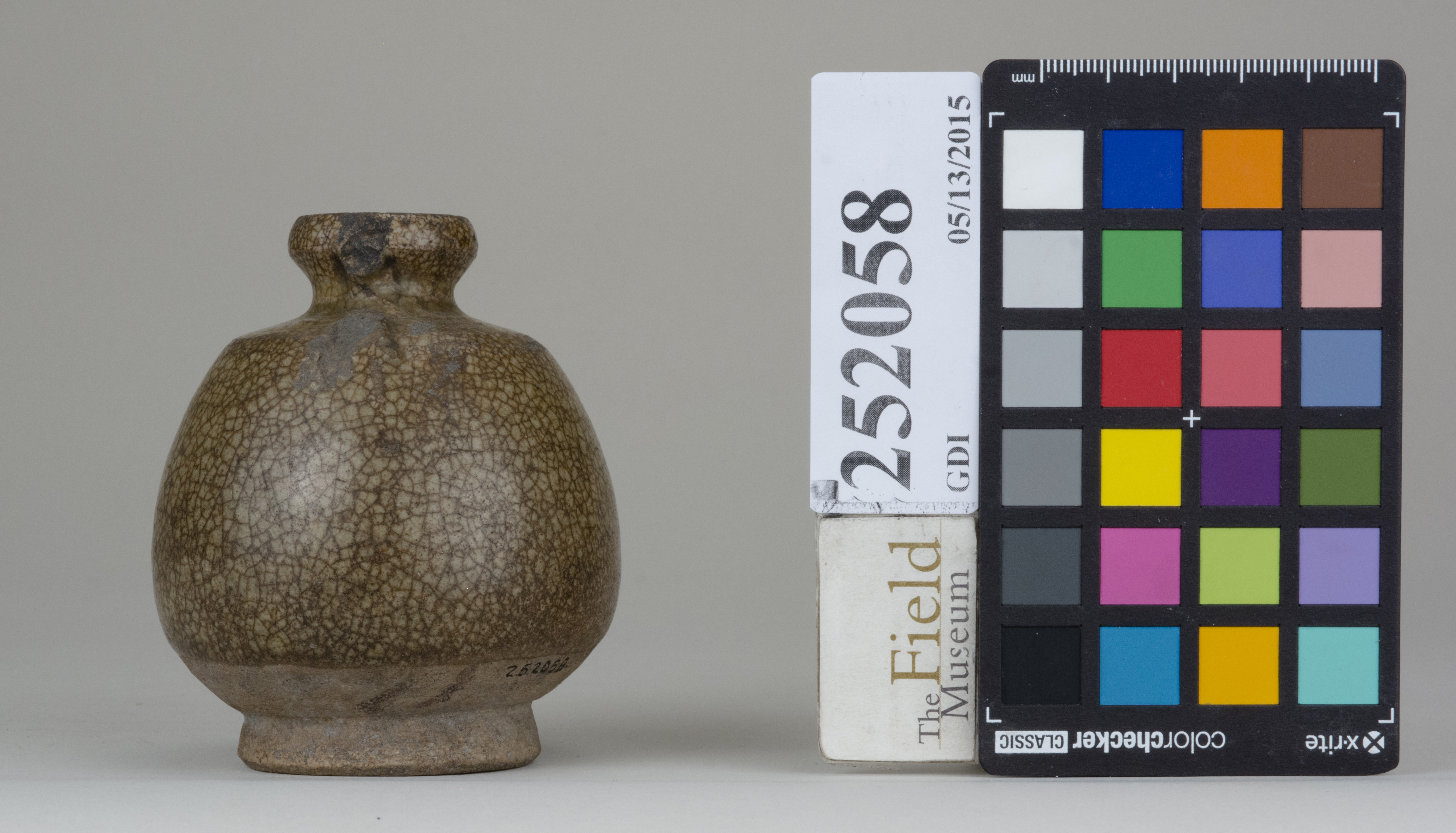 Right (c) Field Museum of Natural History - CC BY-NC 4.0