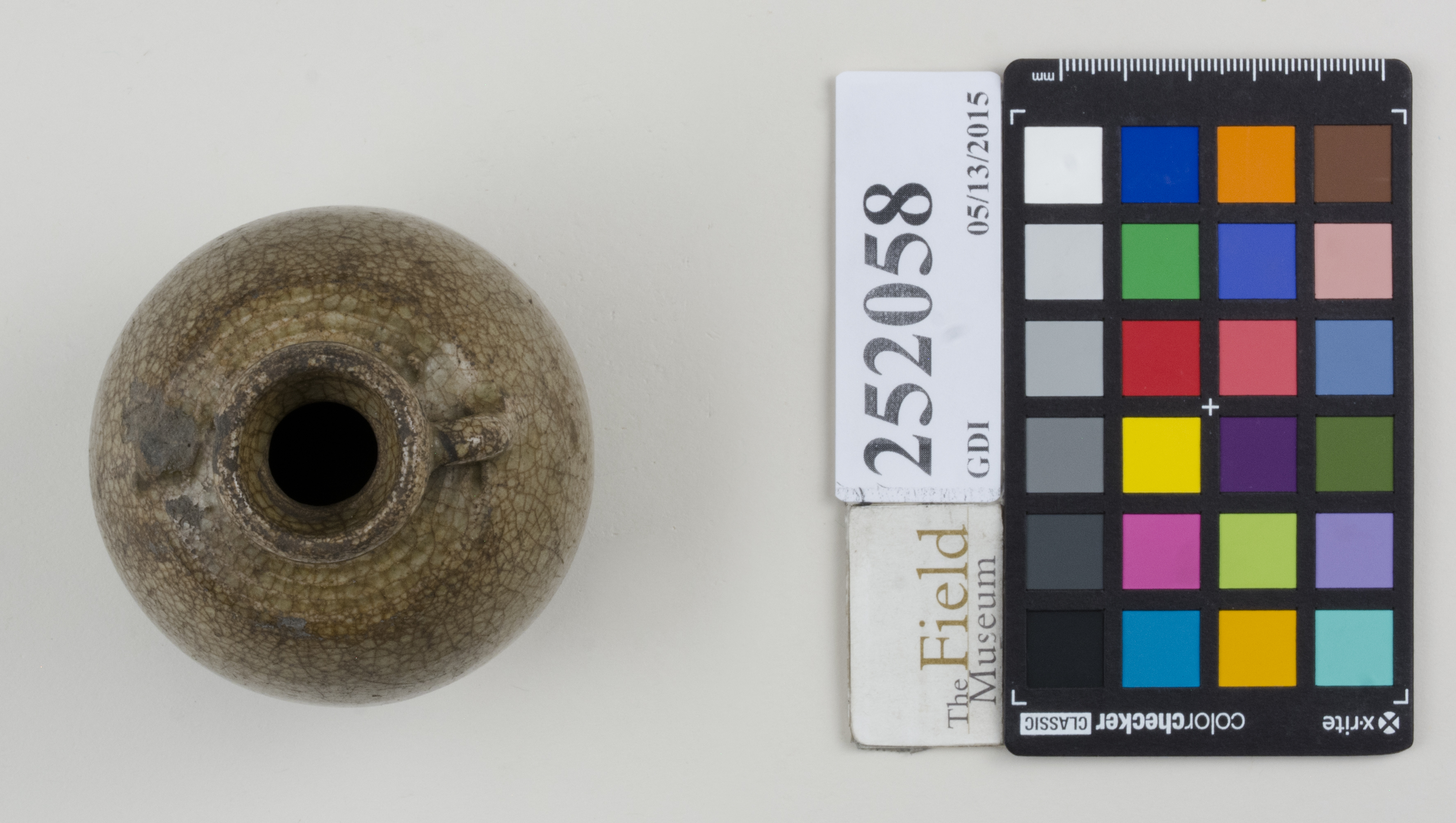 Top (c) Field Museum of Natural History - CC BY-NC 4.0