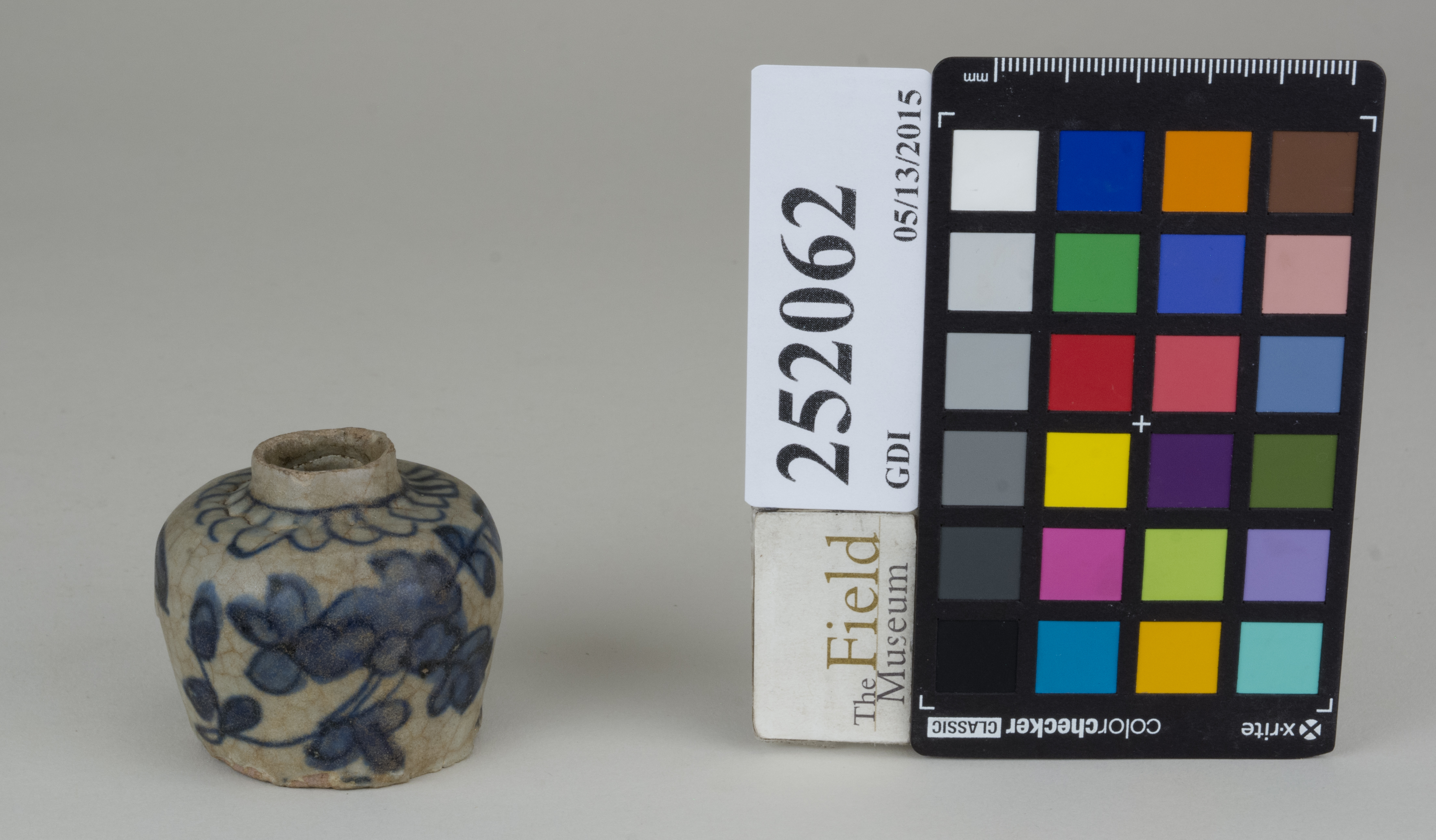 FrontAngle (c) Field Museum of Natural History - CC BY-NC 4.0