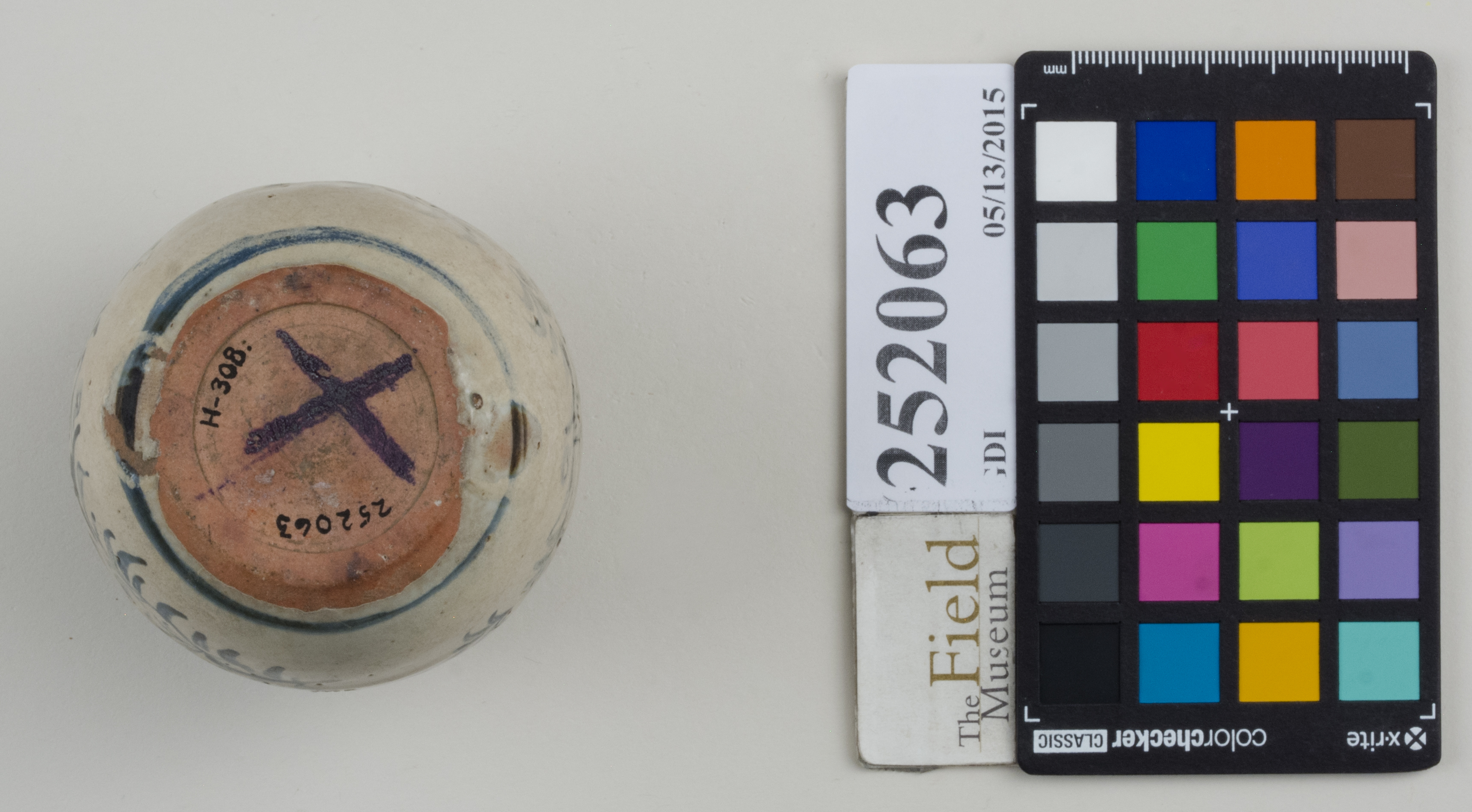 Bottom (c) Field Museum of Natural History - CC BY-NC 4.0