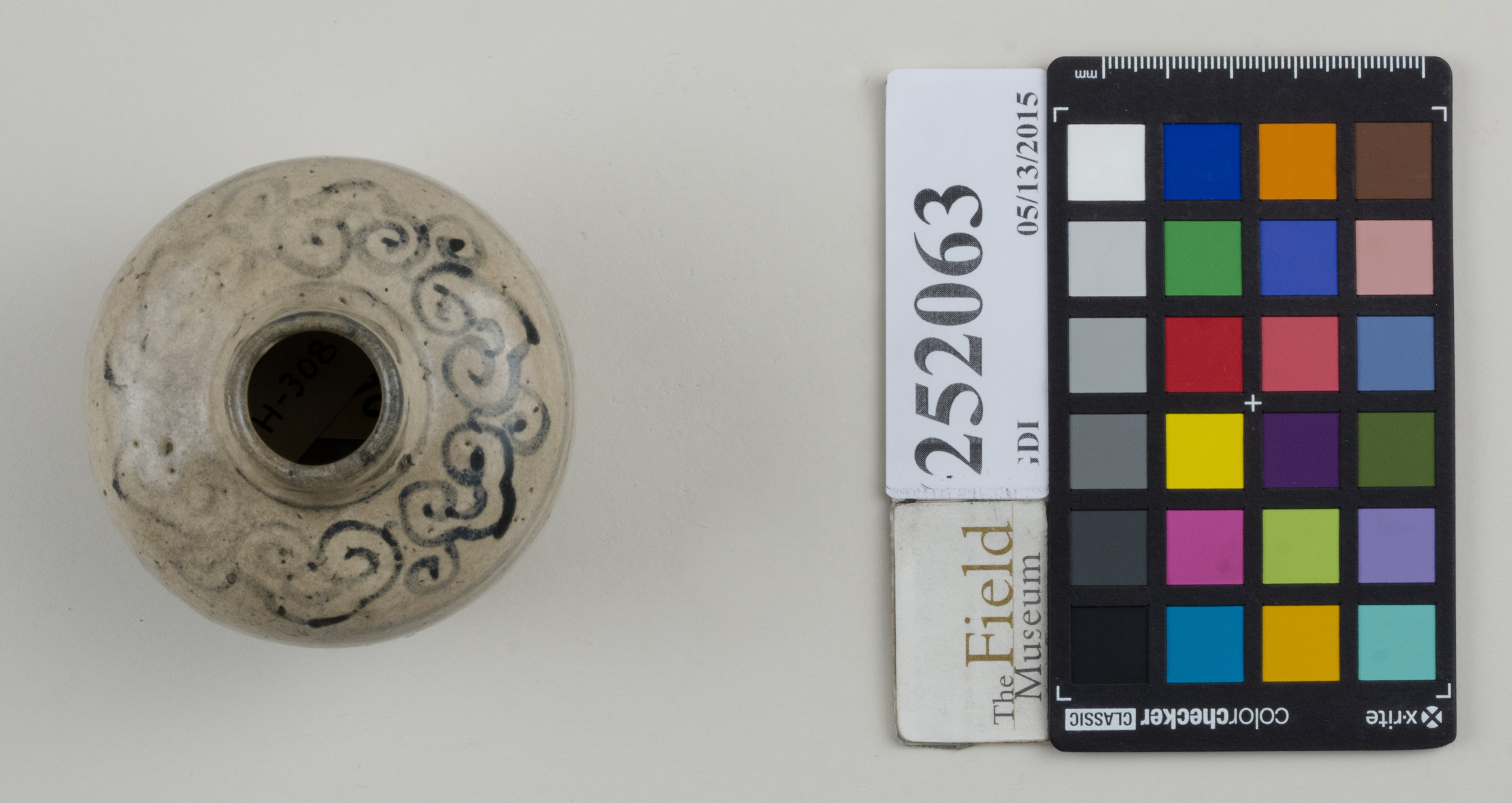 Top (c) Field Museum of Natural History - CC BY-NC 4.0