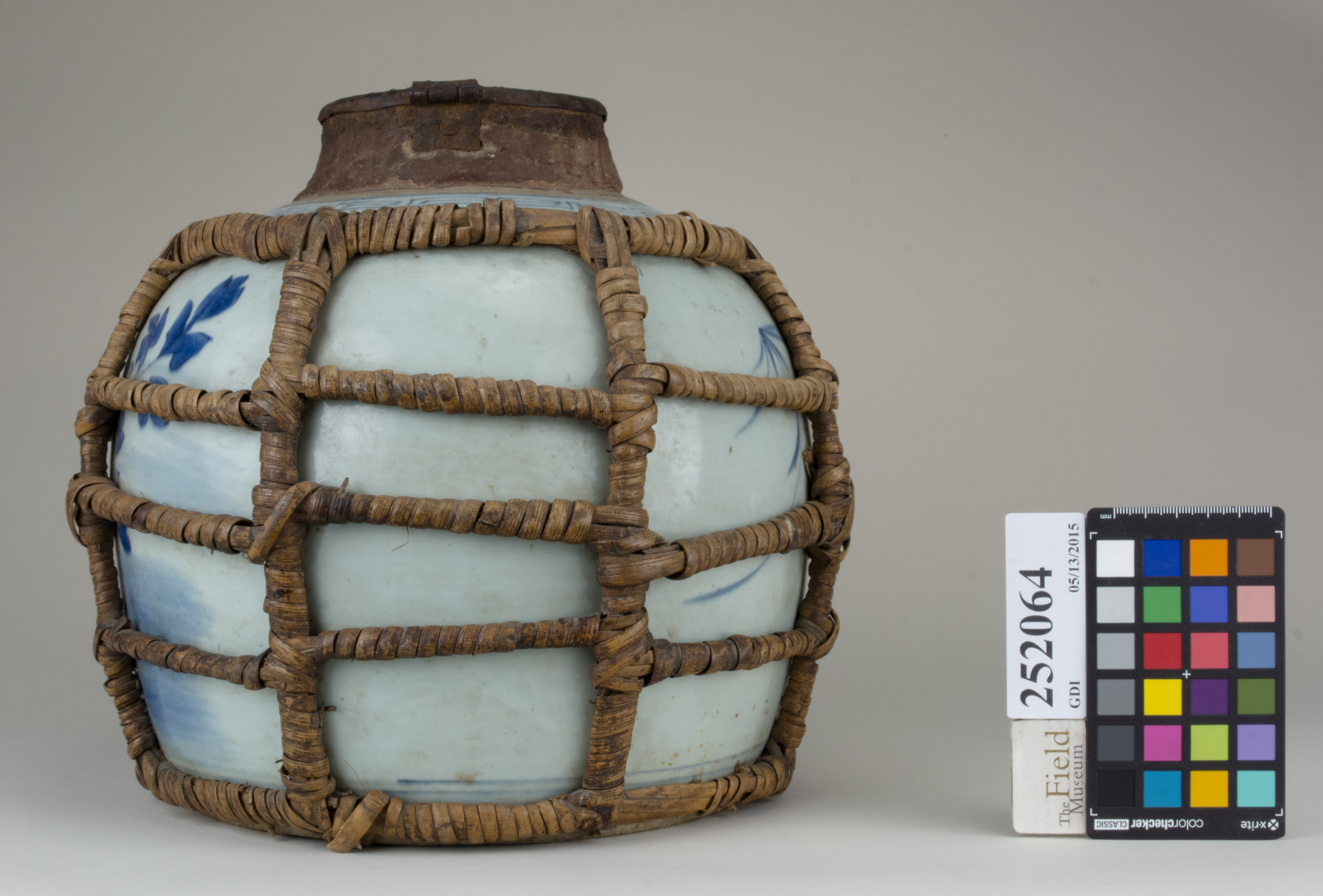 reference image, back (c) Field Museum of Natural History - CC BY-NC 4.0