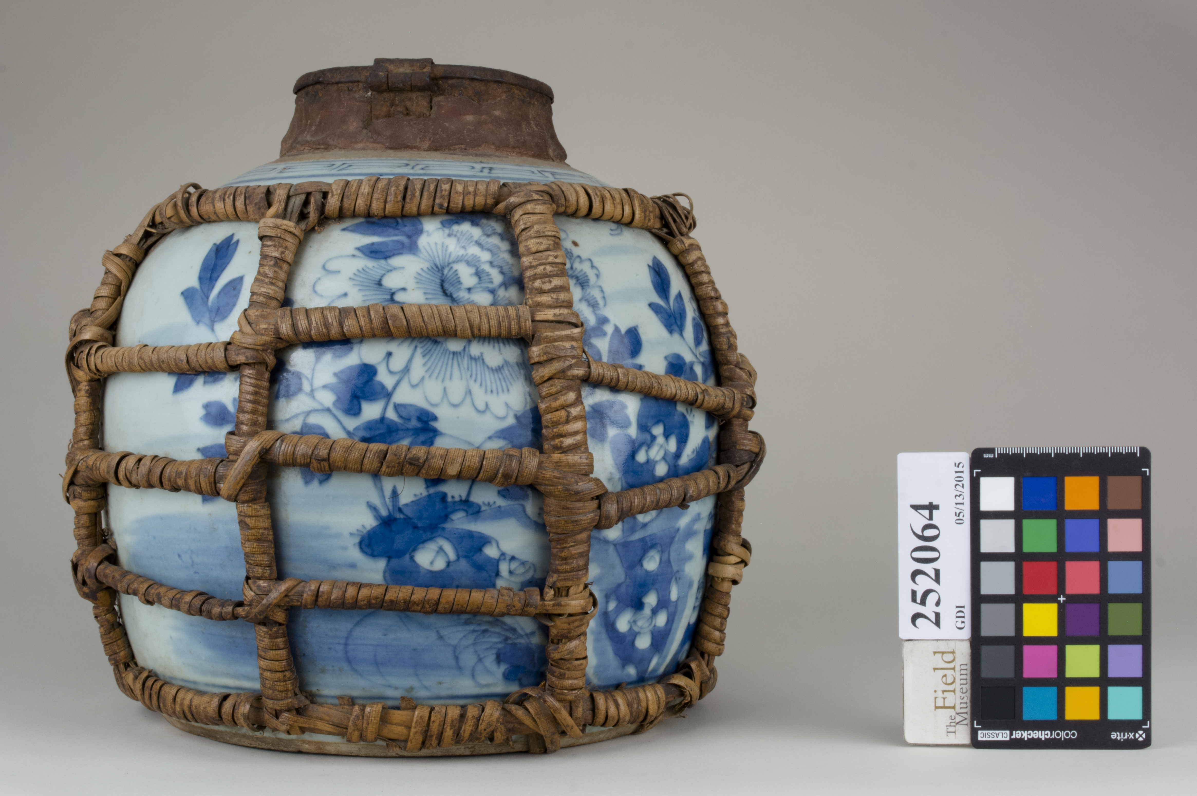 Front (c) Field Museum of Natural History - CC BY-NC 4.0