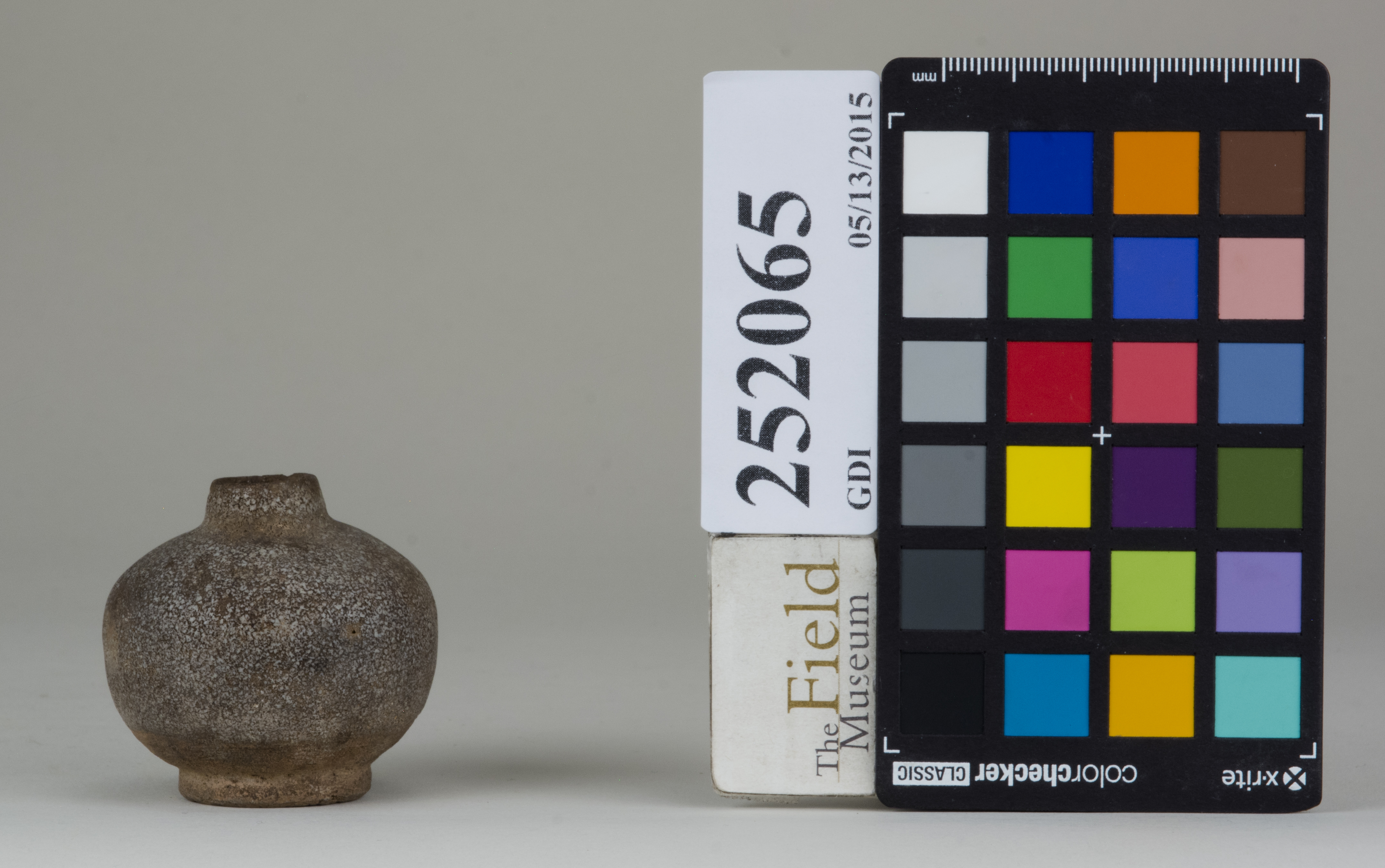 reference image, back (c) Field Museum of Natural History - CC BY-NC 4.0