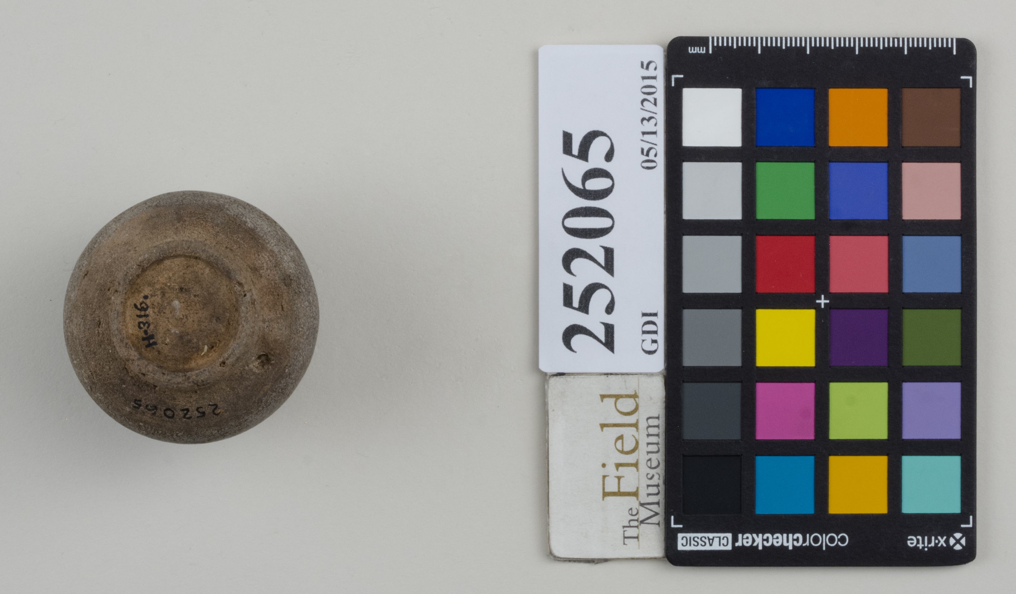 Bottom (c) Field Museum of Natural History - CC BY-NC 4.0