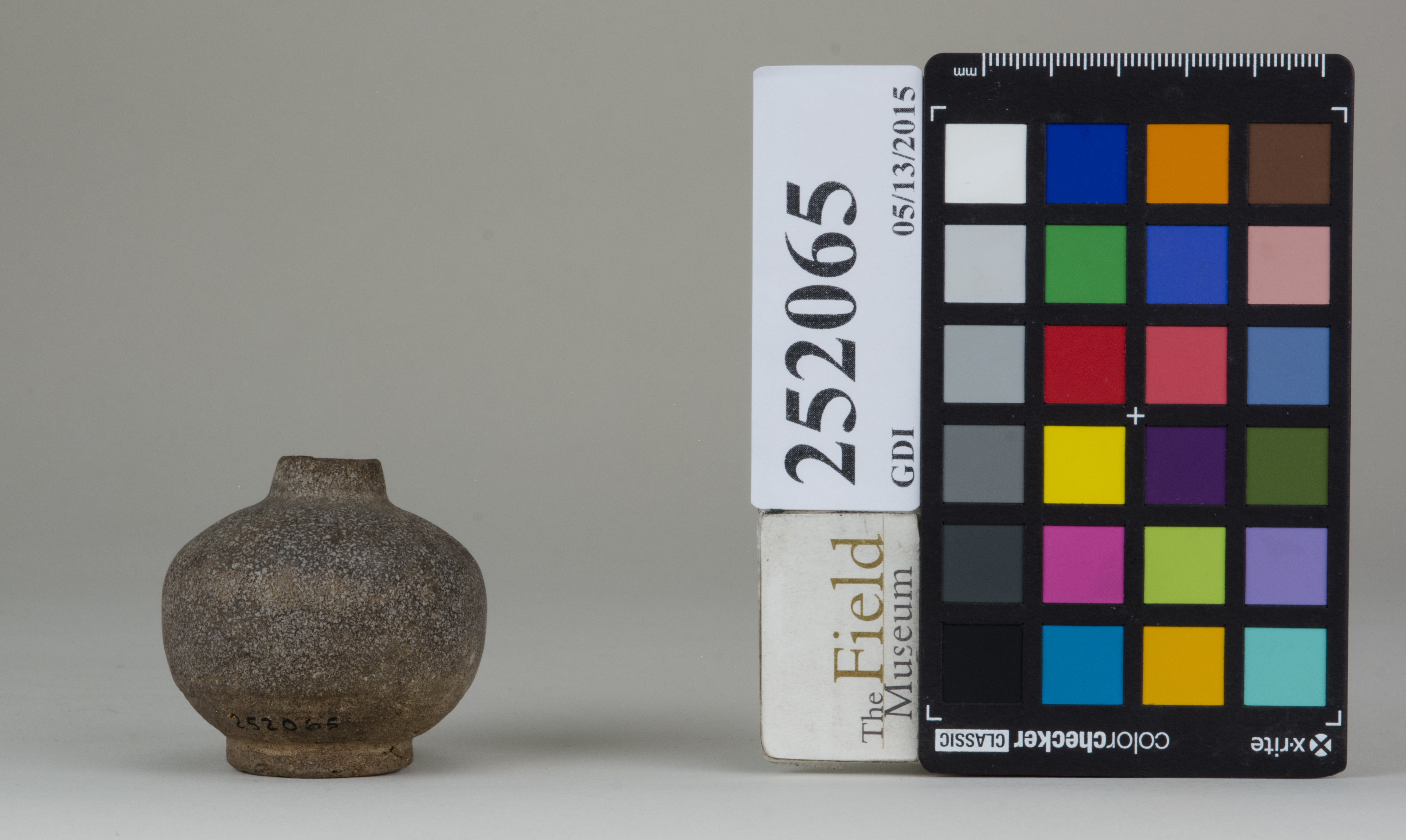 Front (c) Field Museum of Natural History - CC BY-NC 4.0