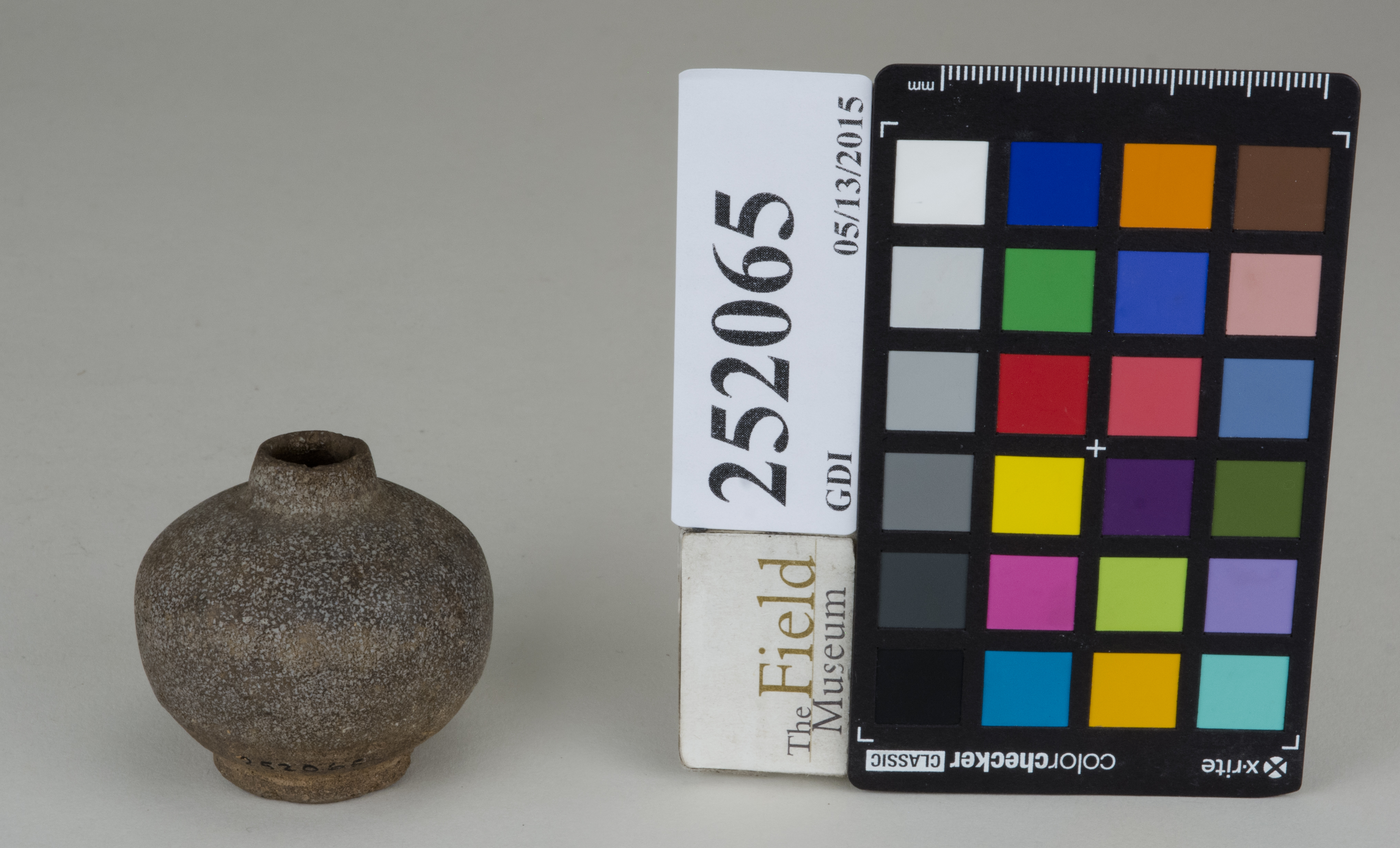 FrontAngle (c) Field Museum of Natural History - CC BY-NC 4.0