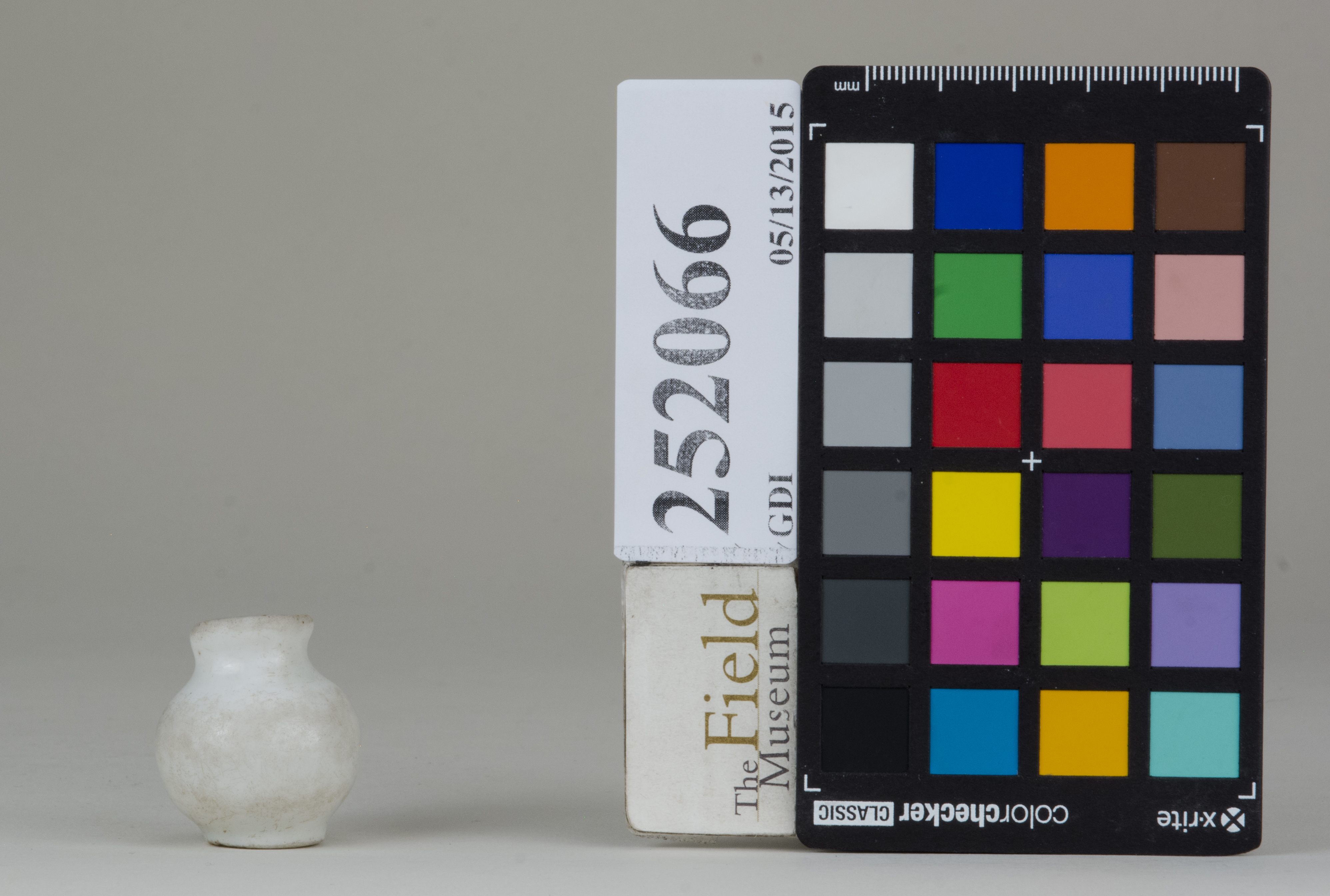 reference image, back (c) Field Museum of Natural History - CC BY-NC 4.0