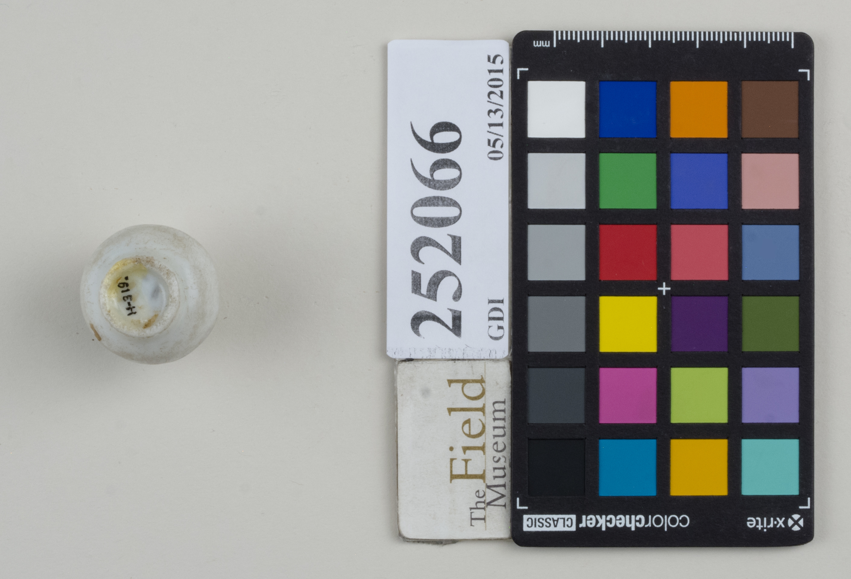 Bottom (c) Field Museum of Natural History - CC BY-NC 4.0