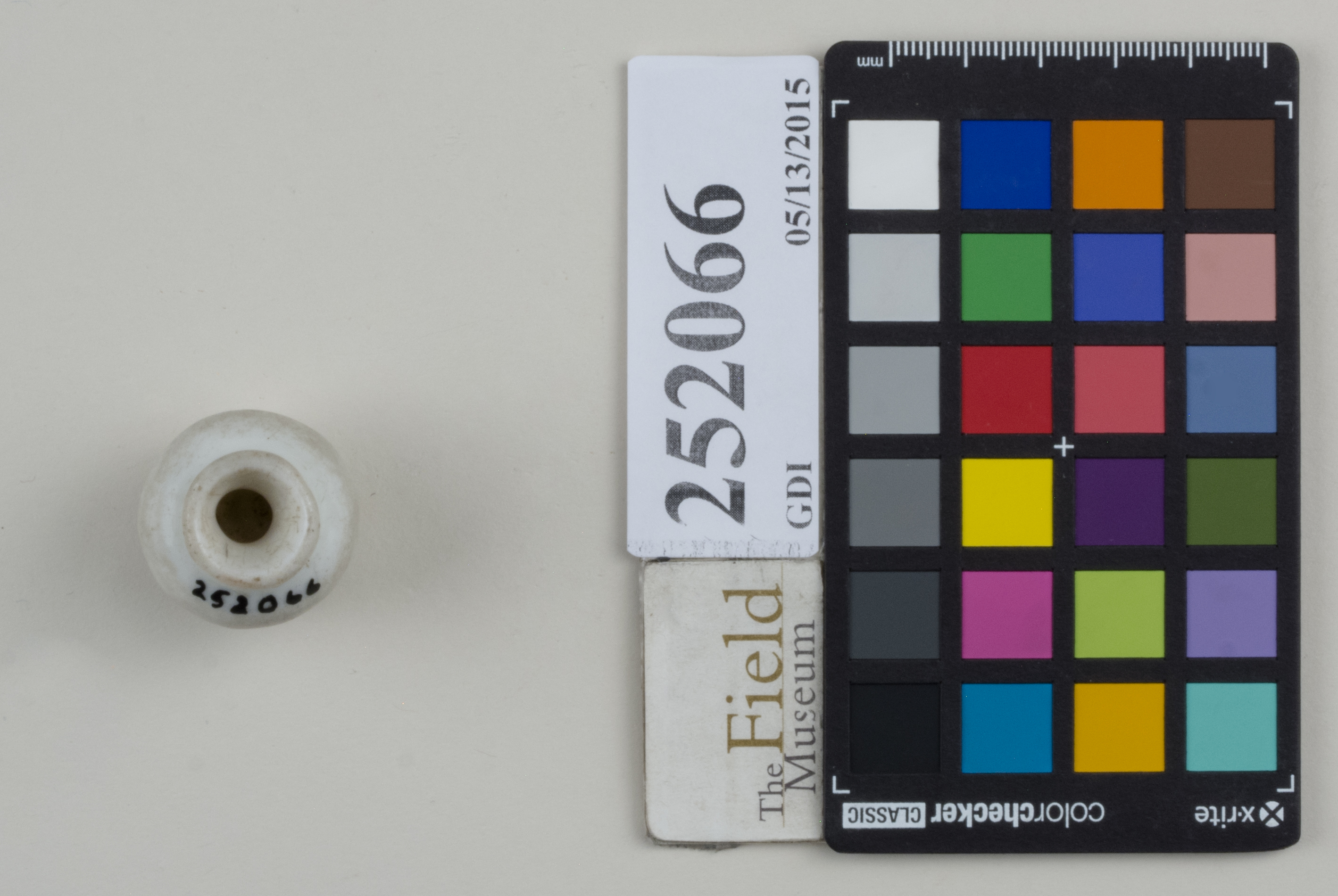 Top (c) Field Museum of Natural History - CC BY-NC 4.0