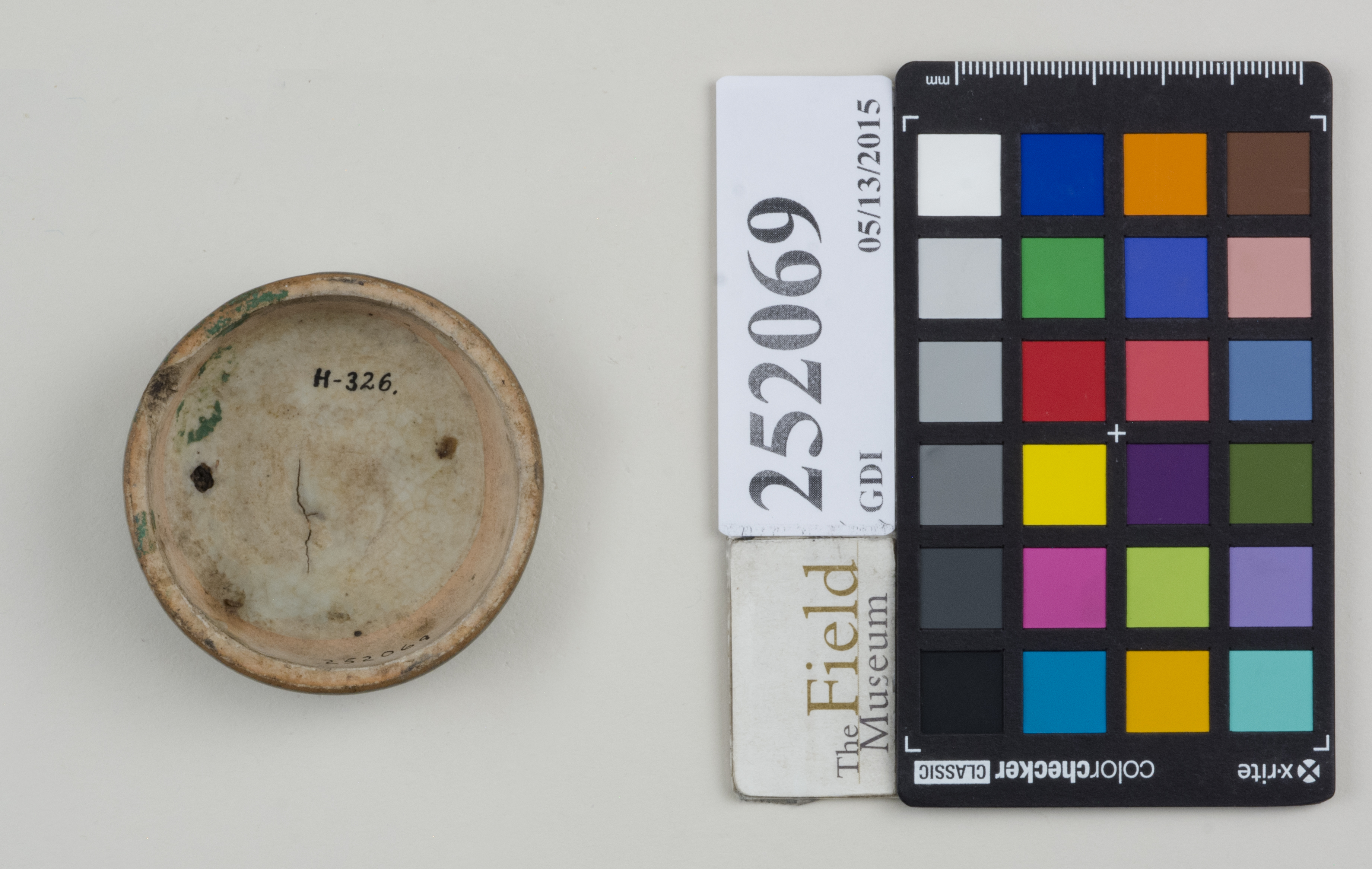 Bottom (c) Field Museum of Natural History - CC BY-NC 4.0