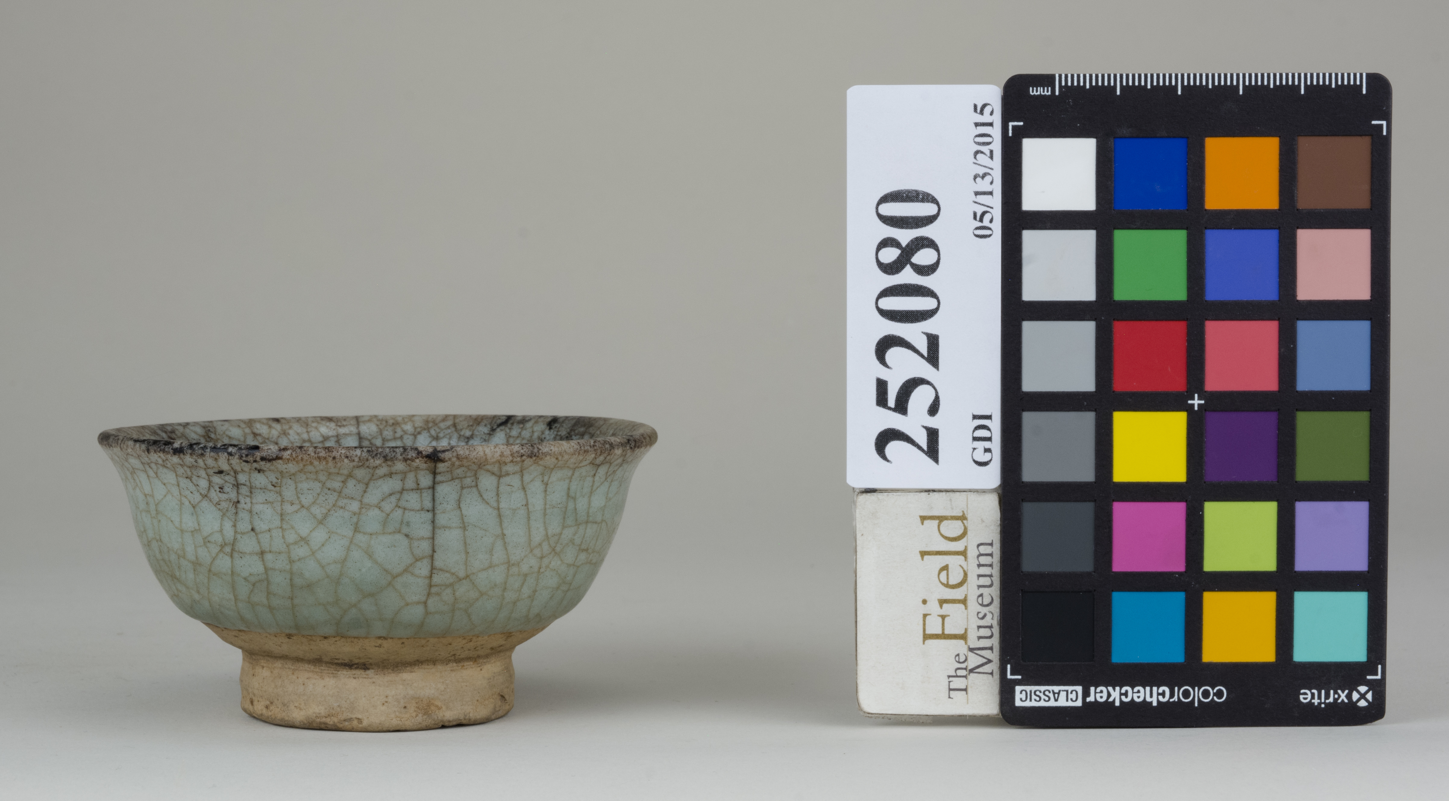 reference image, back (c) Field Museum of Natural History - CC BY-NC 4.0