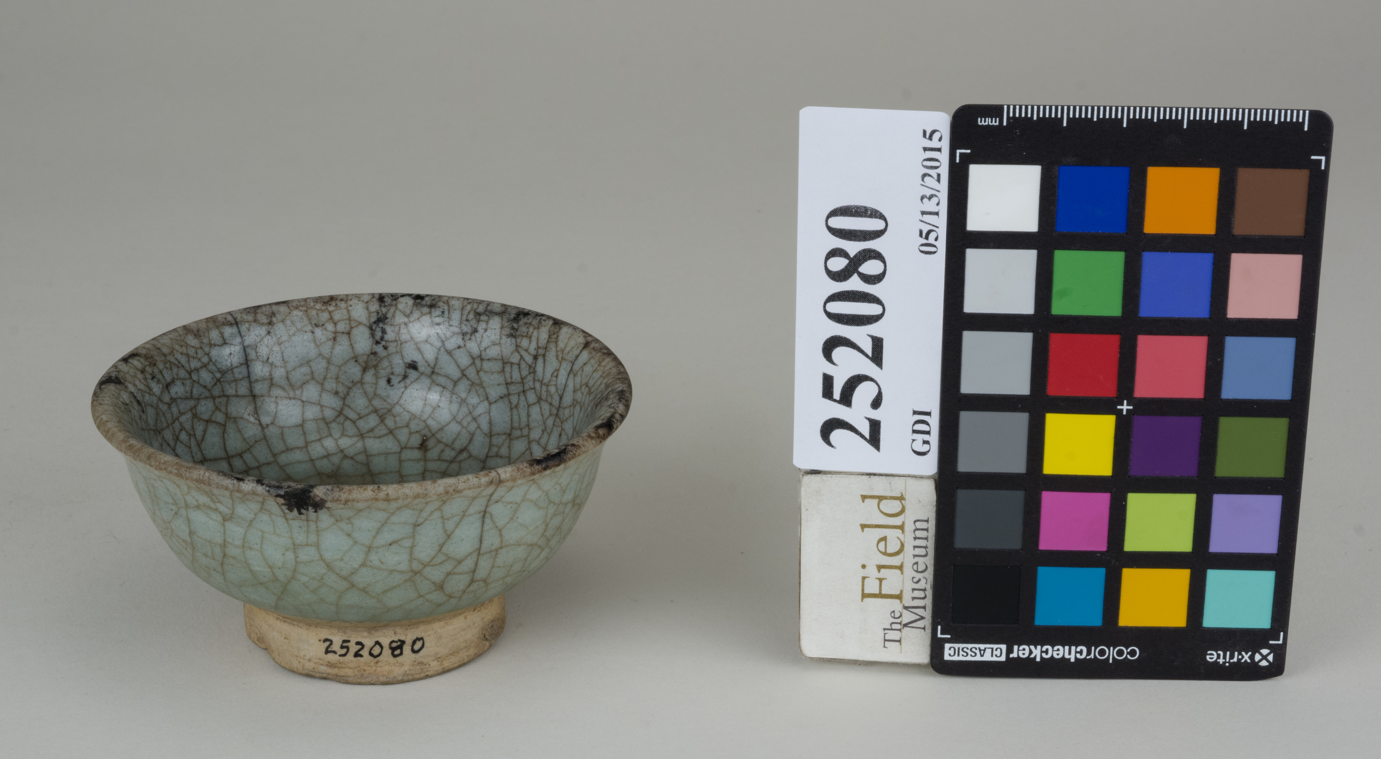 FrontAngle (c) Field Museum of Natural History - CC BY-NC 4.0