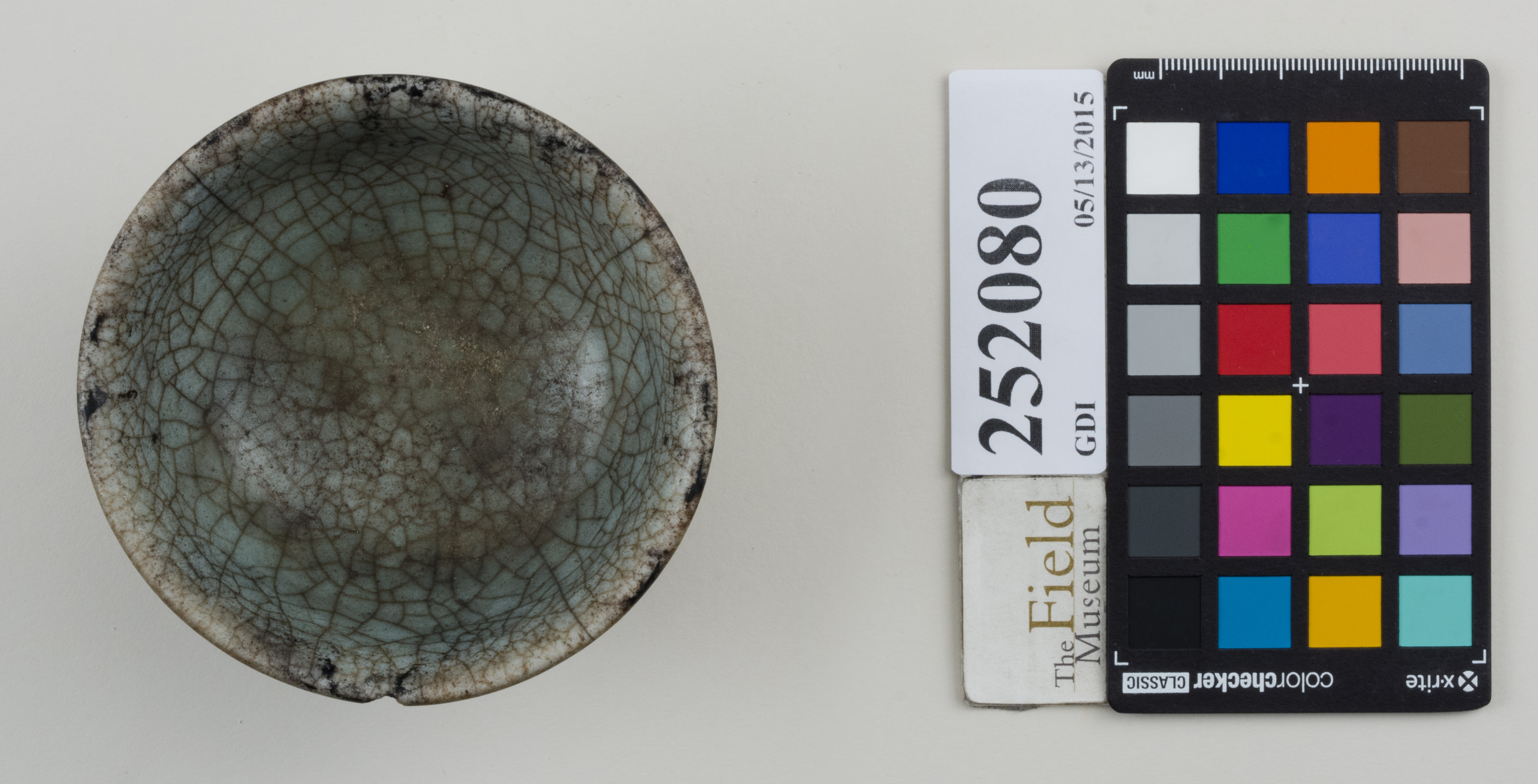 Top (c) Field Museum of Natural History - CC BY-NC 4.0