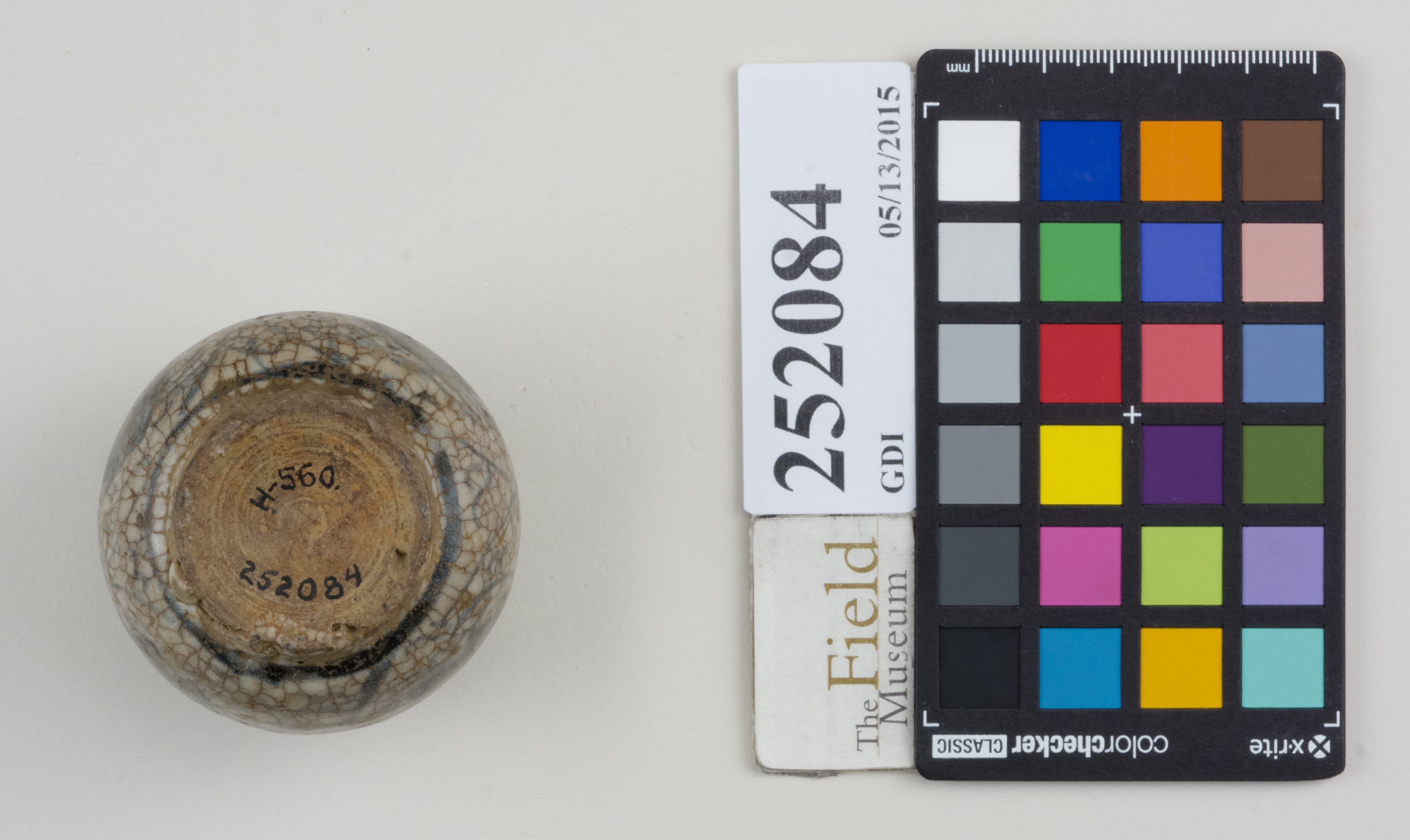 Bottom (c) Field Museum of Natural History - CC BY-NC 4.0