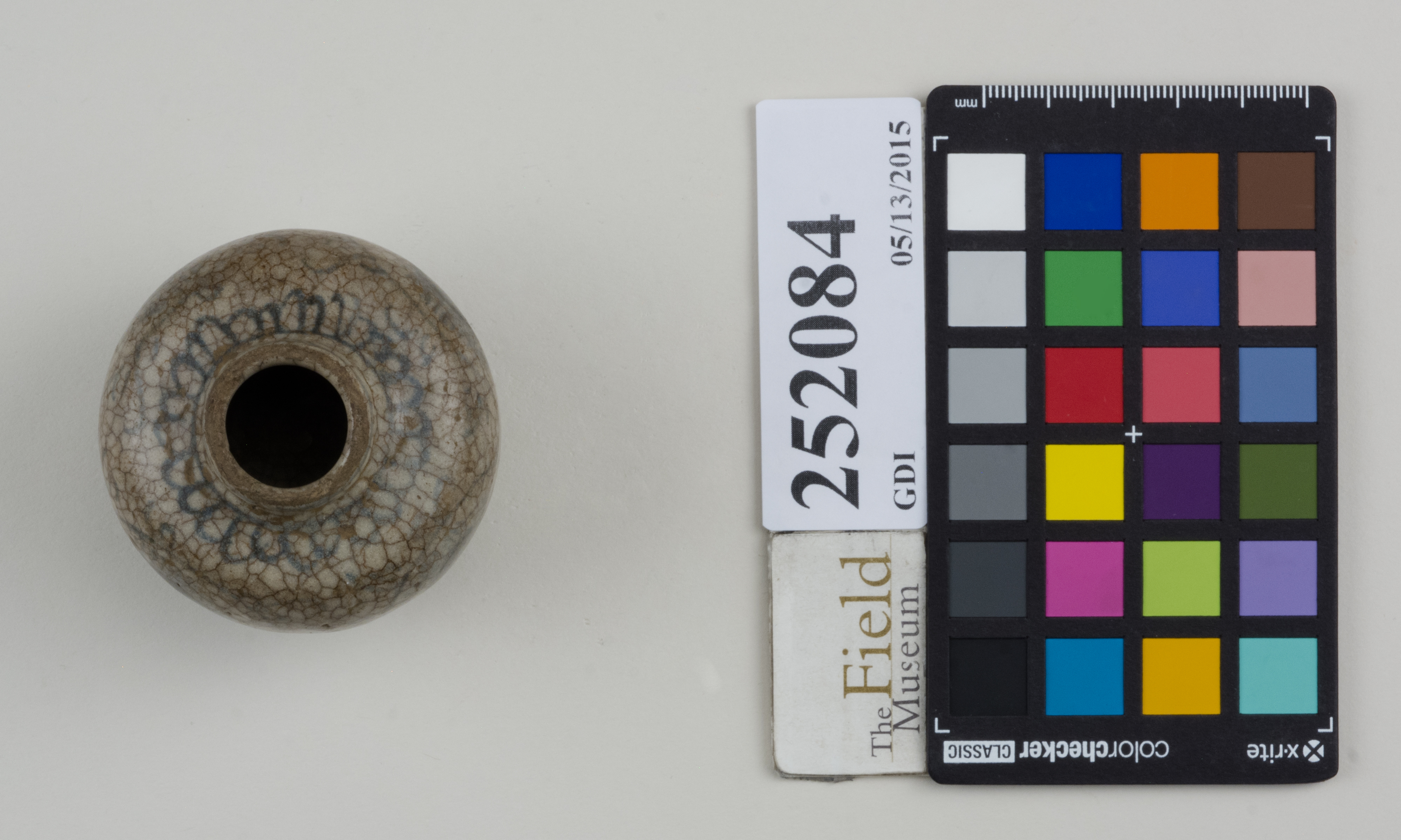 Top (c) Field Museum of Natural History - CC BY-NC 4.0