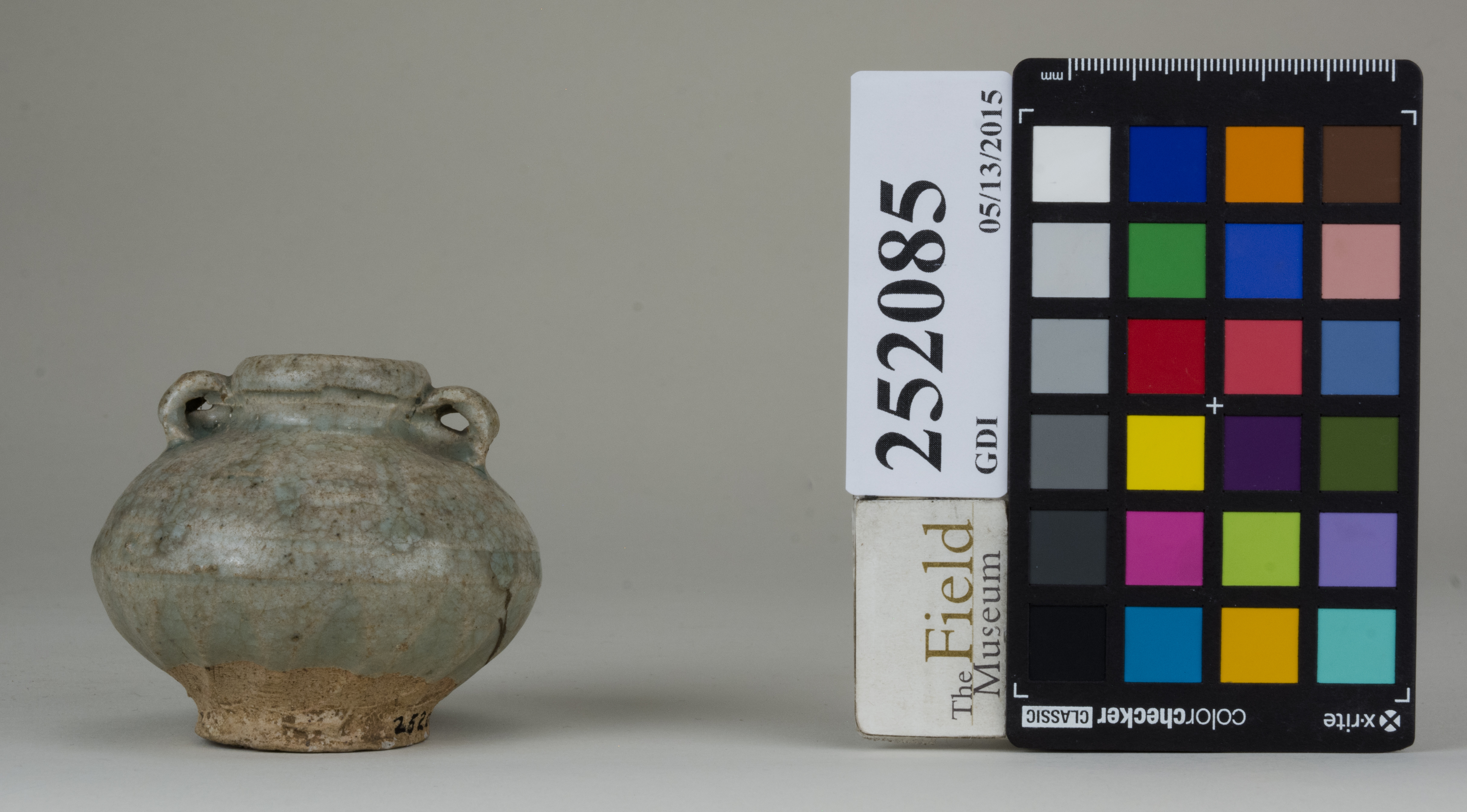 Front (c) Field Museum of Natural History - CC BY-NC 4.0