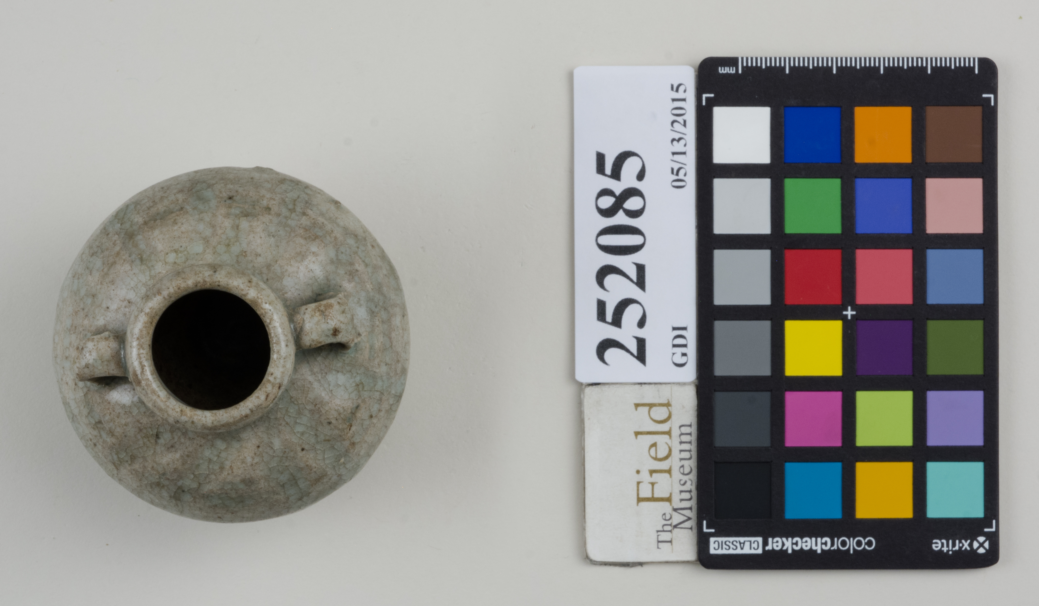 Top (c) Field Museum of Natural History - CC BY-NC 4.0