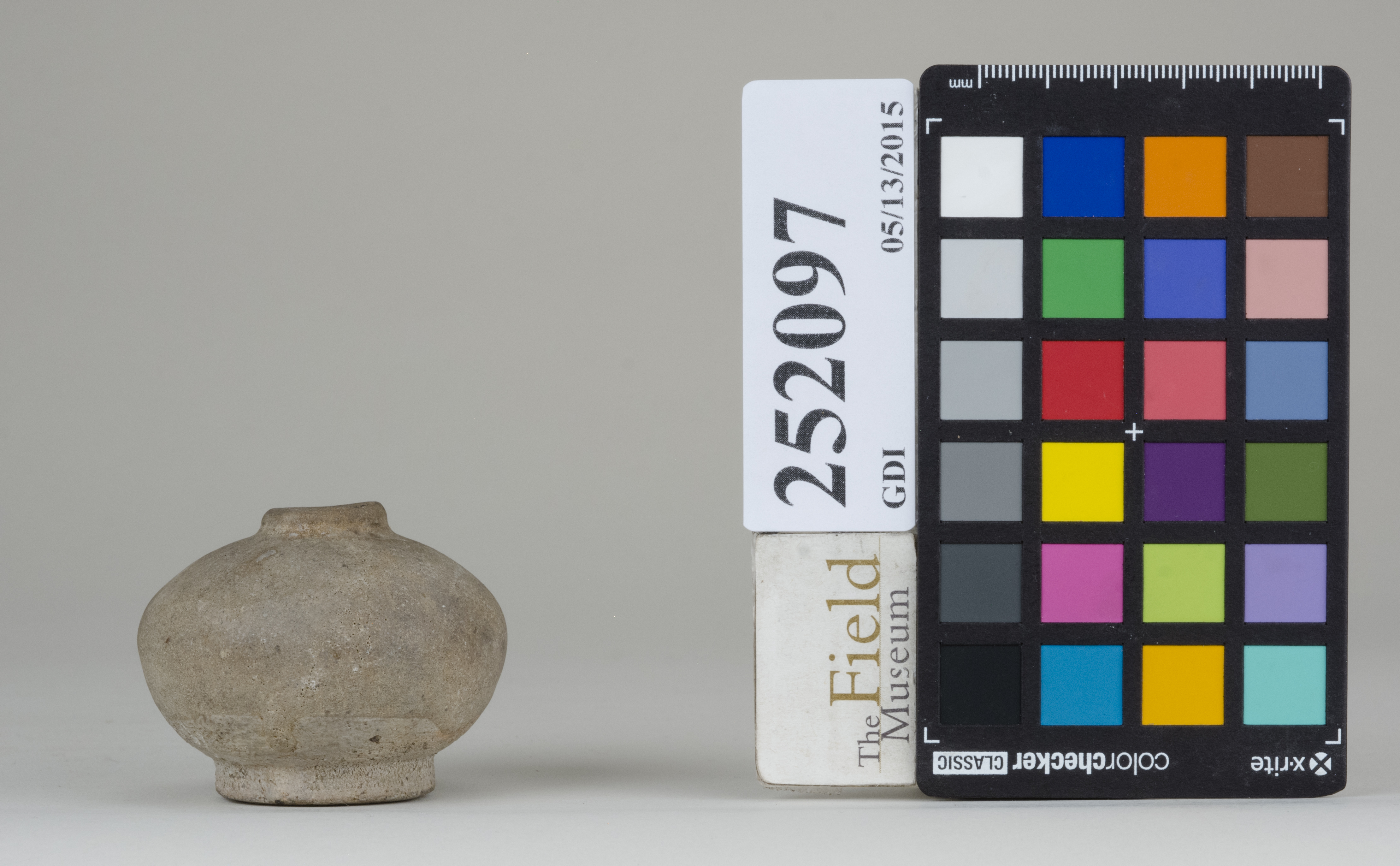 reference image, back (c) Field Museum of Natural History - CC BY-NC 4.0