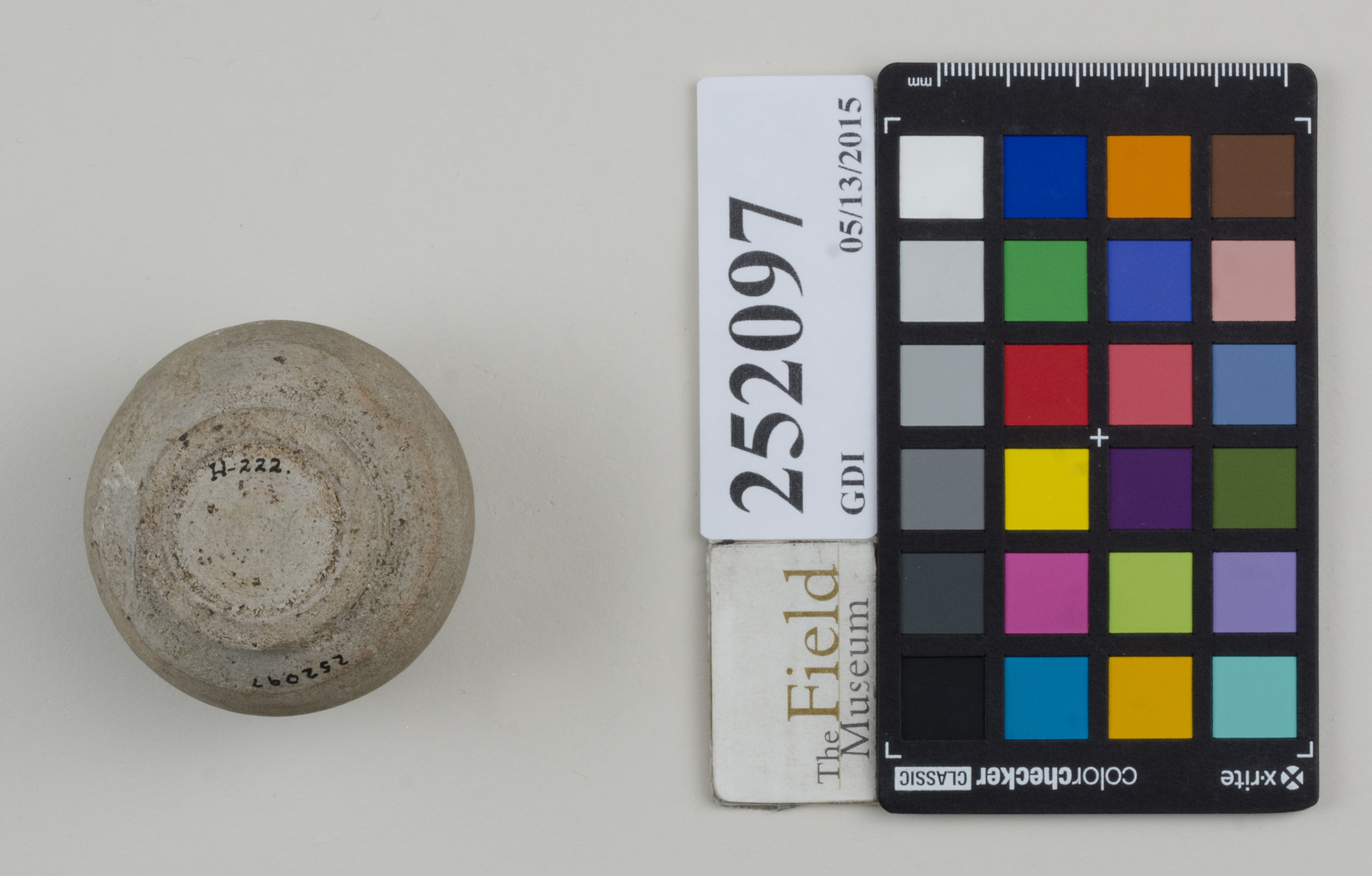 Bottom (c) Field Museum of Natural History - CC BY-NC 4.0