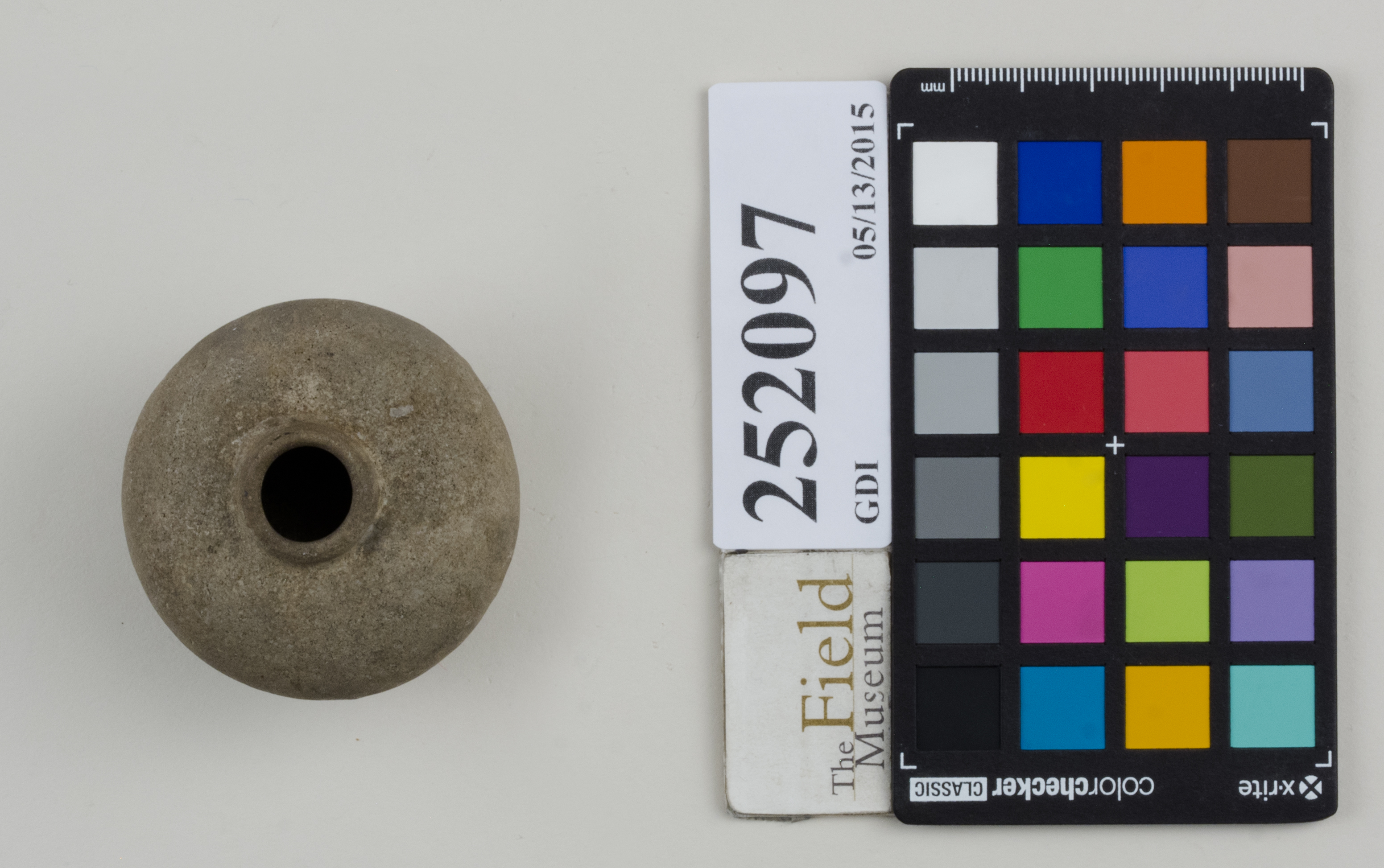 Top (c) Field Museum of Natural History - CC BY-NC 4.0