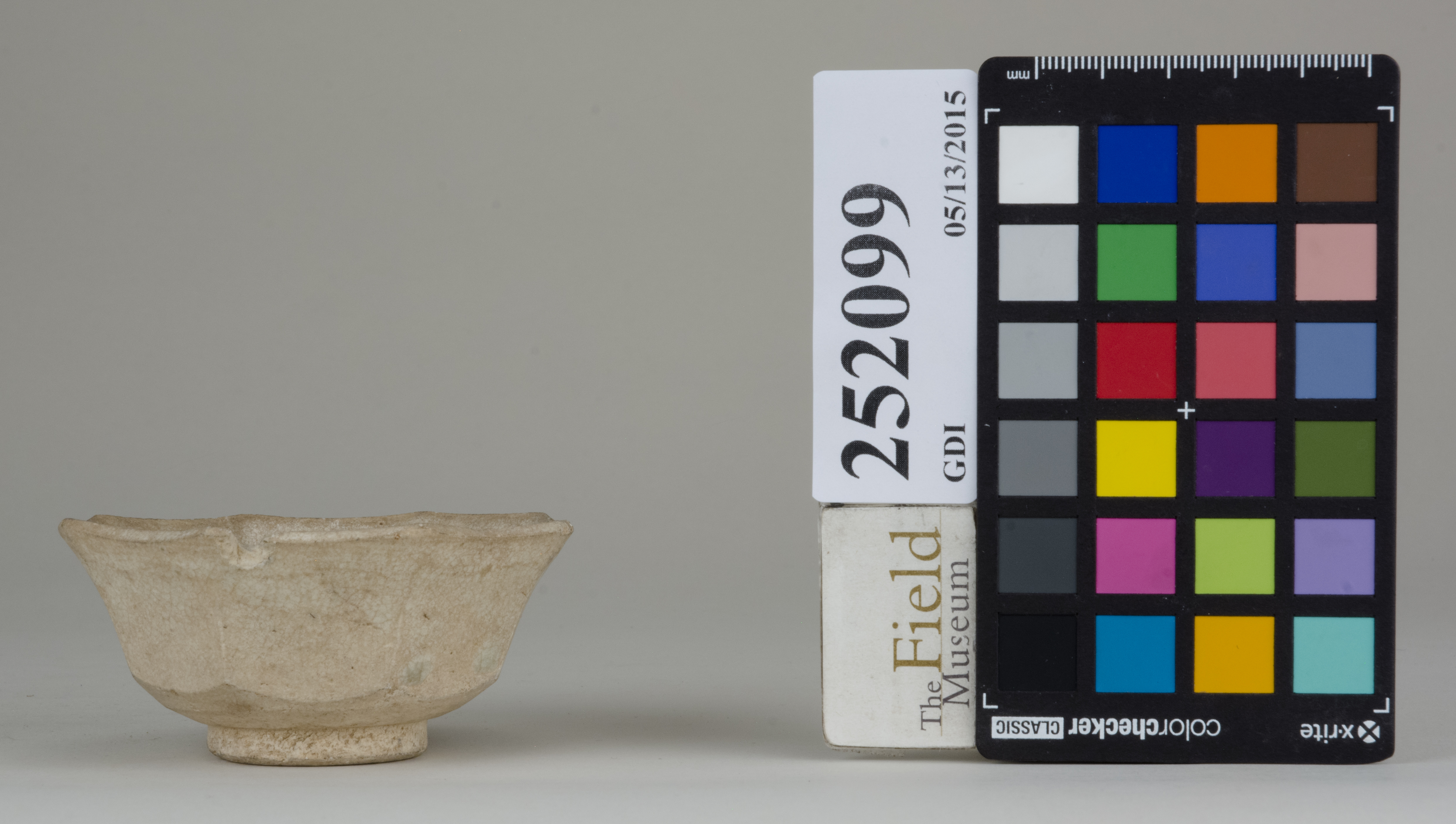 reference image, back (c) Field Museum of Natural History - CC BY-NC 4.0