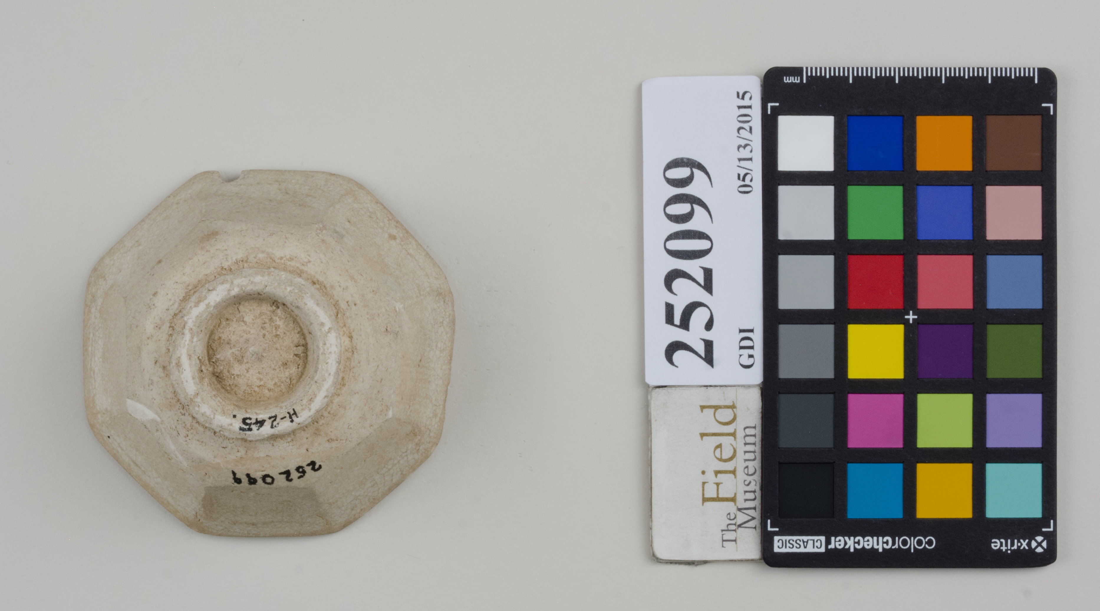 Bottom (c) Field Museum of Natural History - CC BY-NC 4.0