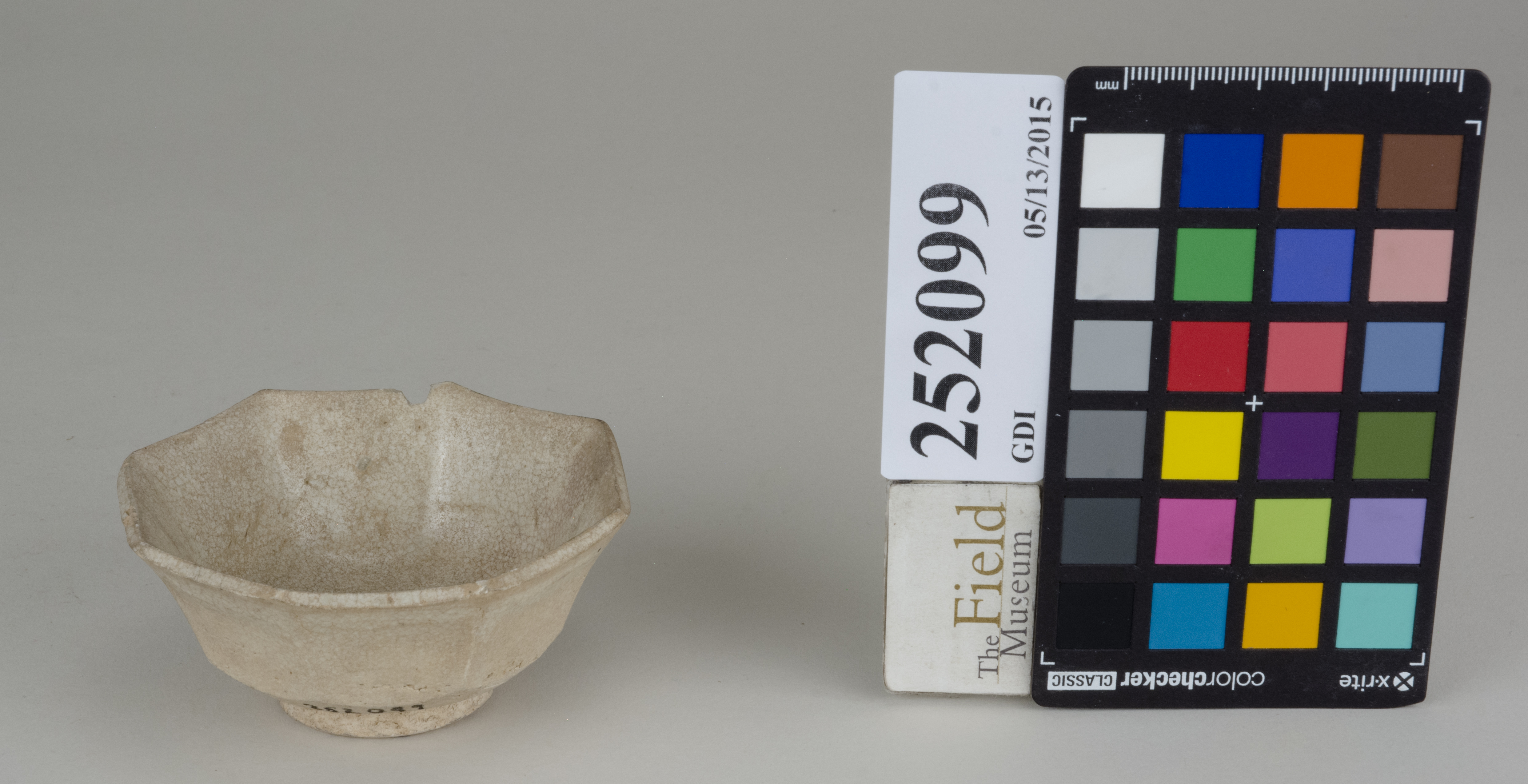 FrontAngle (c) Field Museum of Natural History - CC BY-NC 4.0