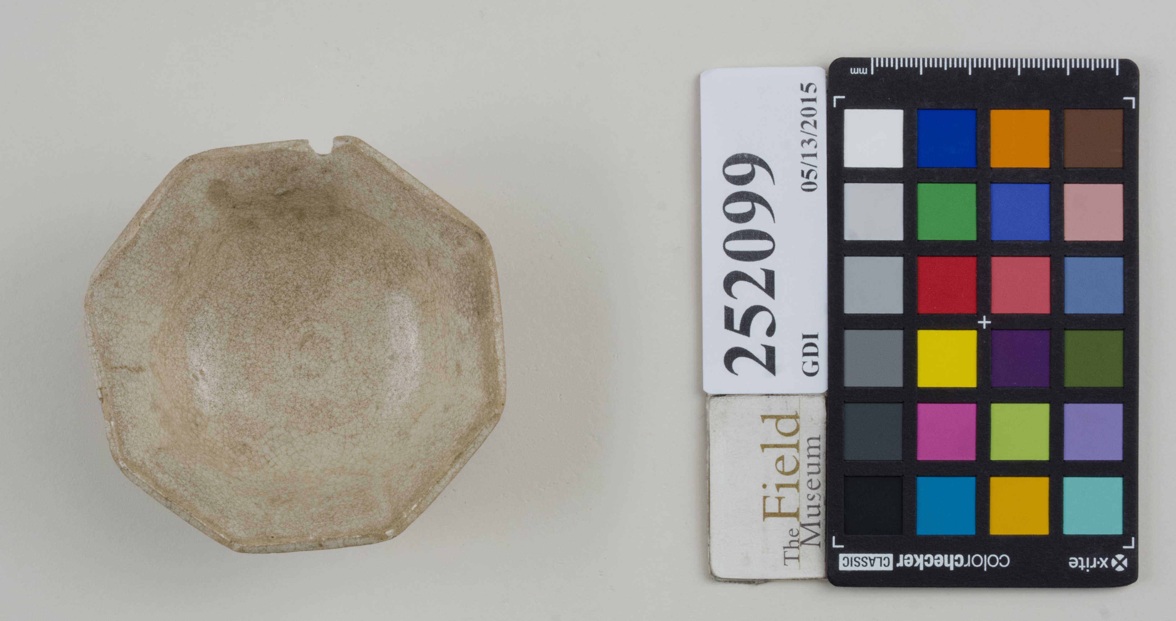 Top (c) Field Museum of Natural History - CC BY-NC 4.0