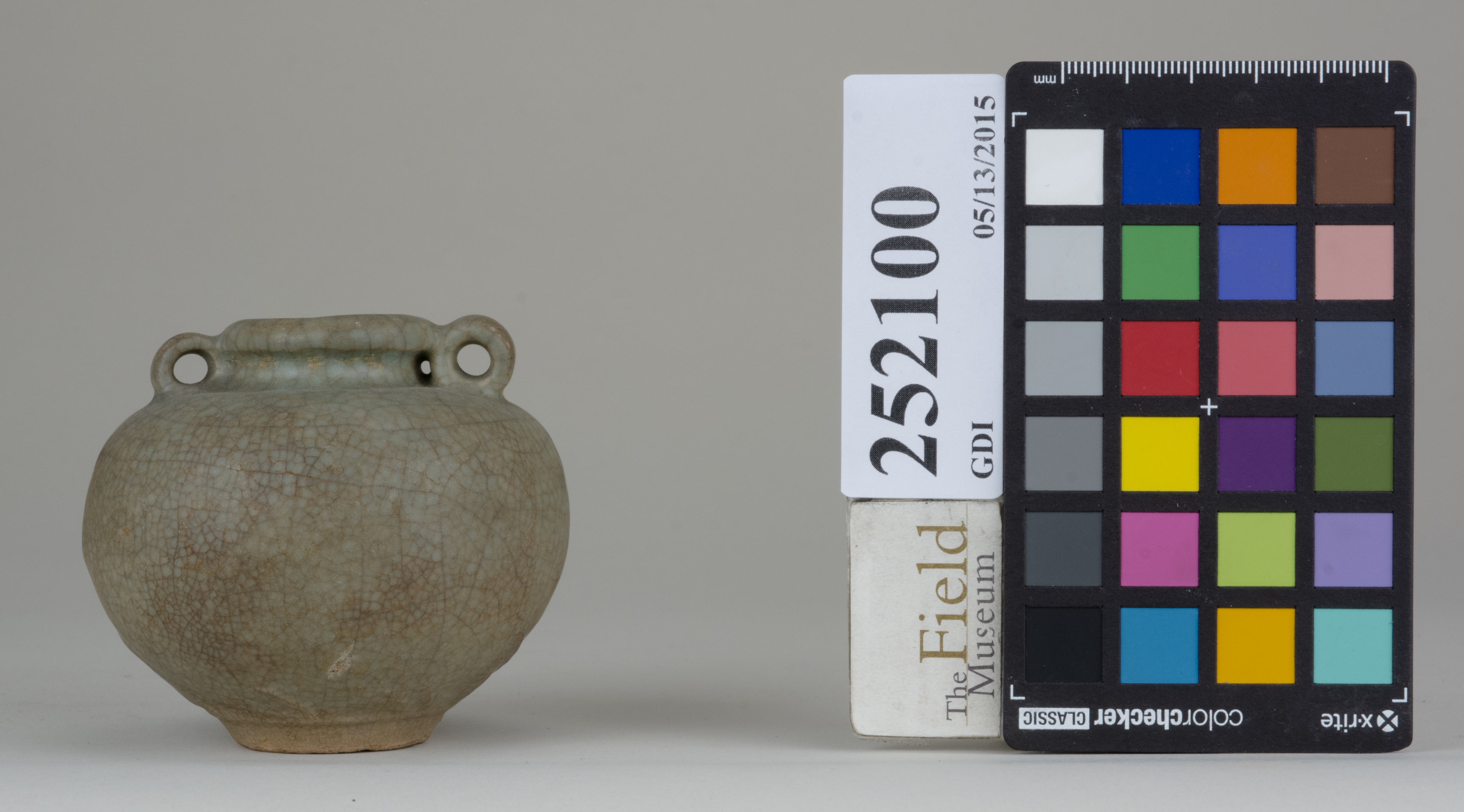 reference image, back (c) Field Museum of Natural History - CC BY-NC 4.0