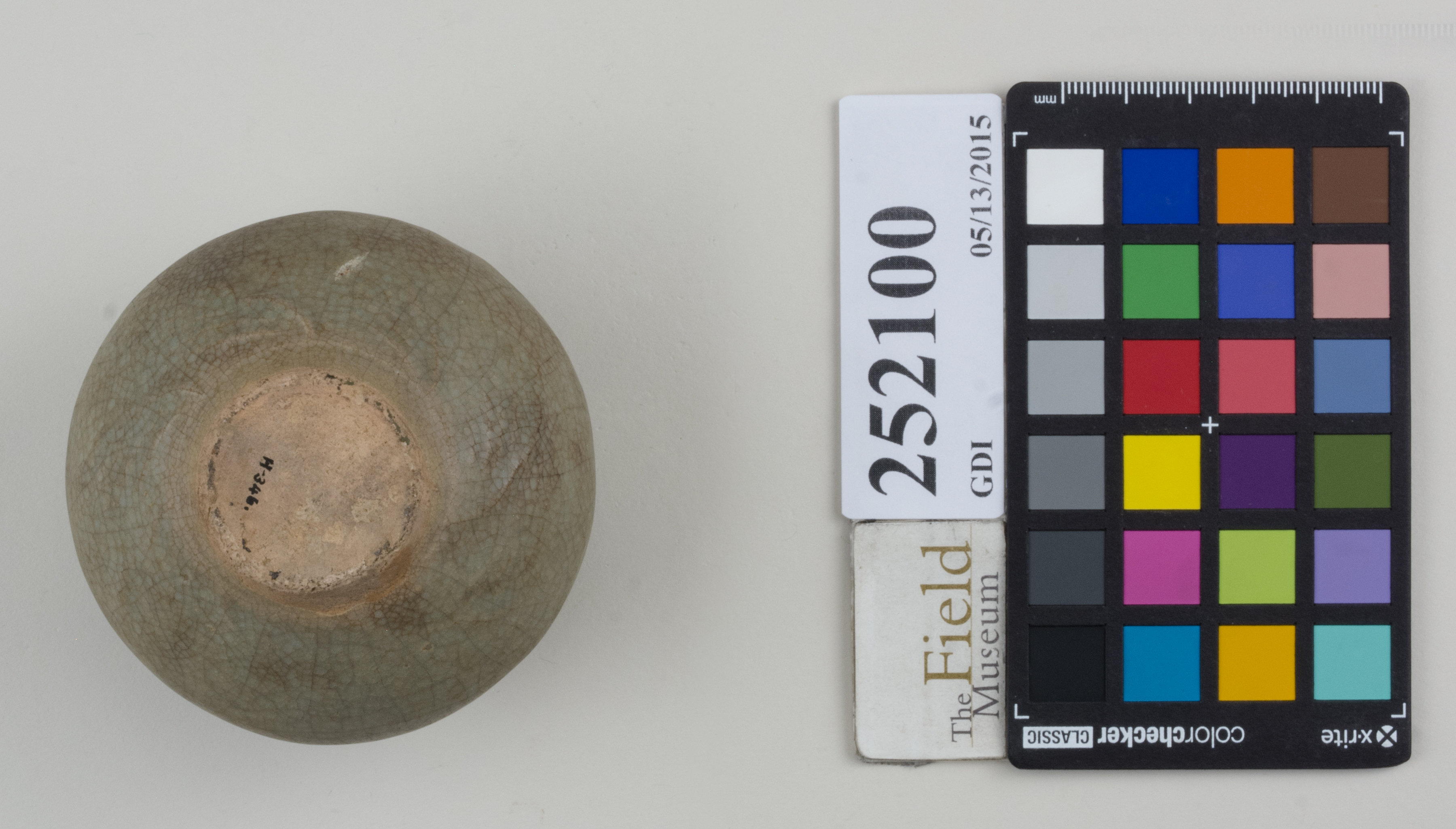 Bottom (c) Field Museum of Natural History - CC BY-NC 4.0